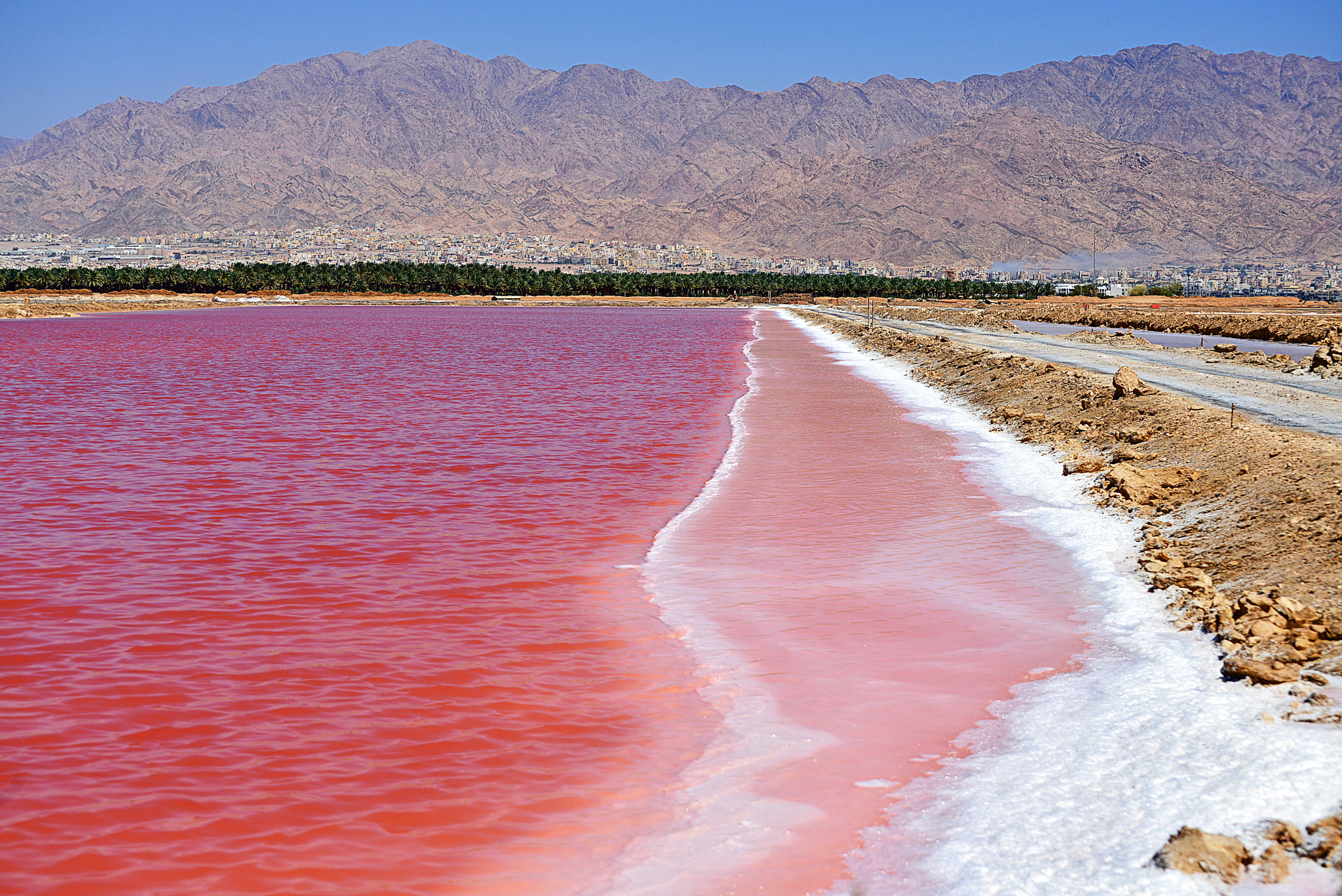 Nikon D800E sample photo. Salt pool in eilat photography