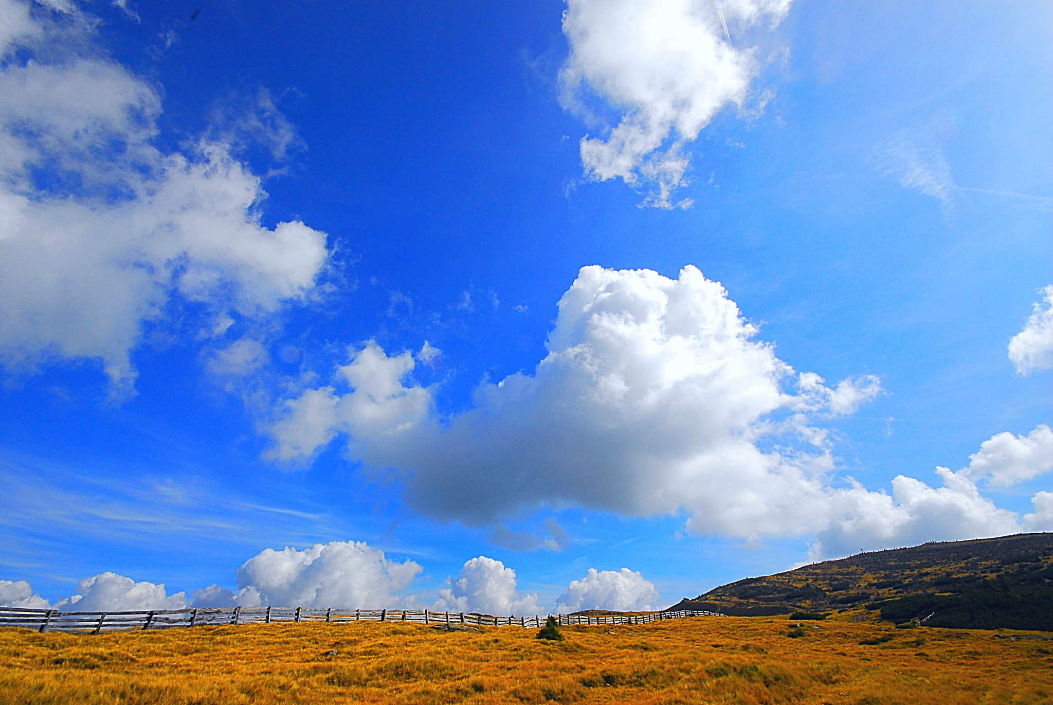 Sigma 10-20mm F4-5.6 EX DC HSM sample photo