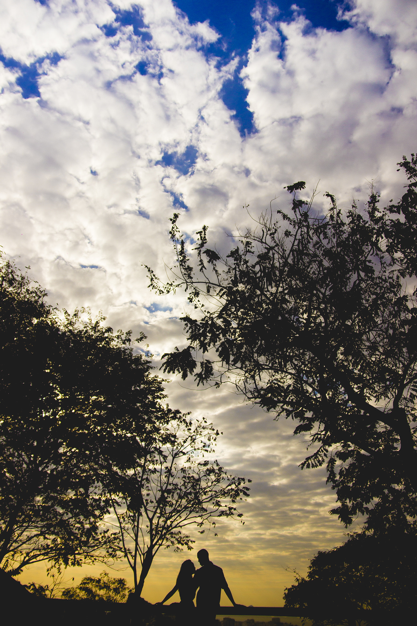 Sigma 17-70mm F2.8-4 DC Macro OS HSM sample photo. ₢ luiz felipe andrade gomes photography
