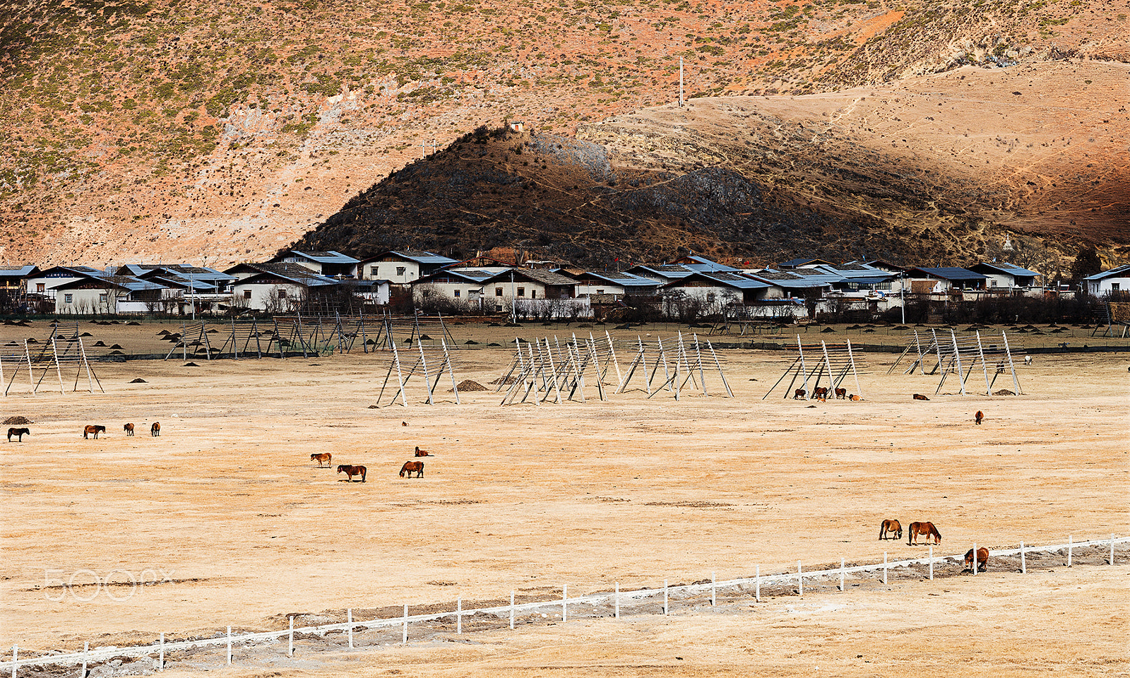 Sony a99 II sample photo. A peaceful tibet plateau village photography