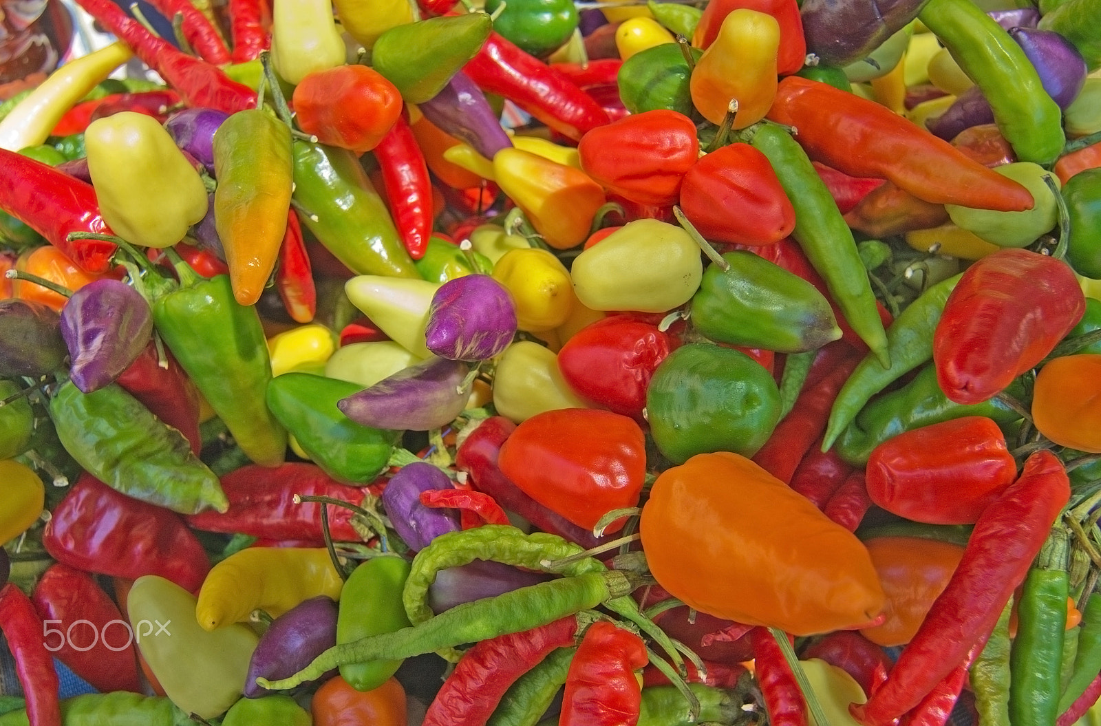 Nikon D7100 + Sigma 28-300mm F3.5-6.3 DG Macro sample photo. Colorful peppers on display photography
