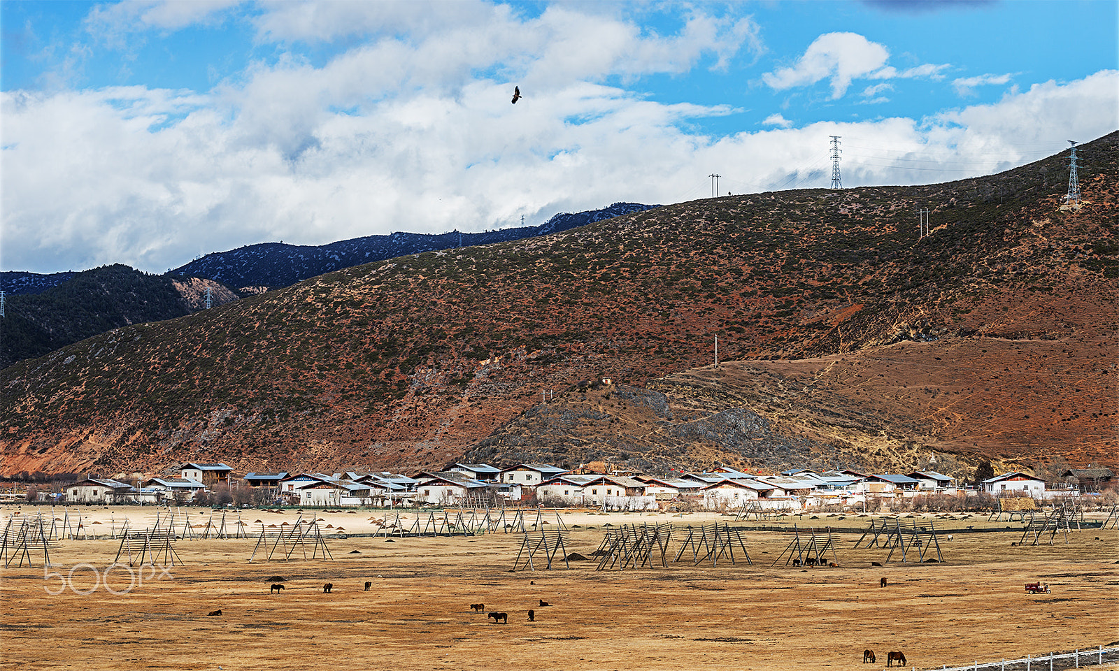 Sony a99 II sample photo. A peaceful tibet plateau village photography