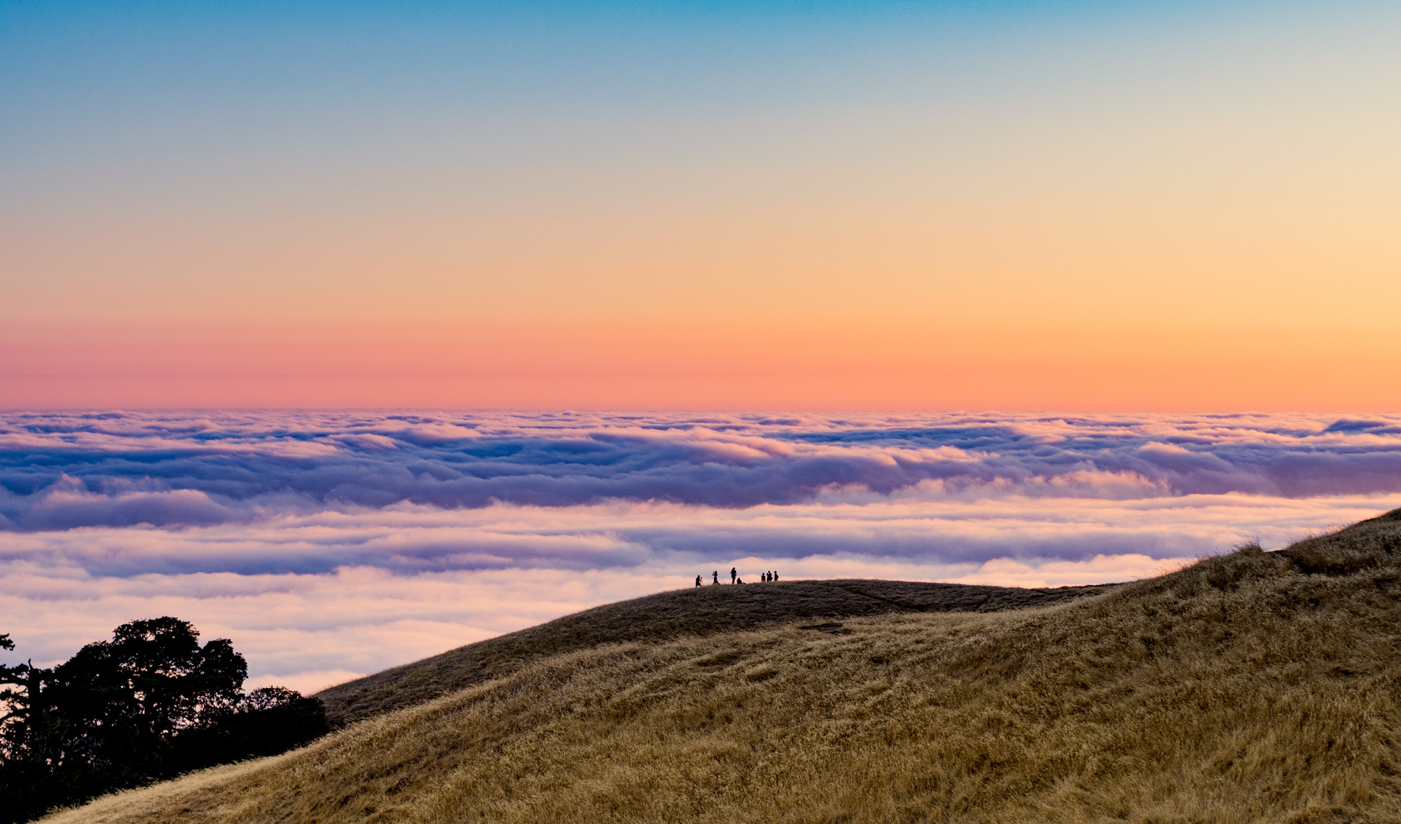 Sony a7 II + Canon EF 50mm F1.2L USM sample photo. In thin air photography