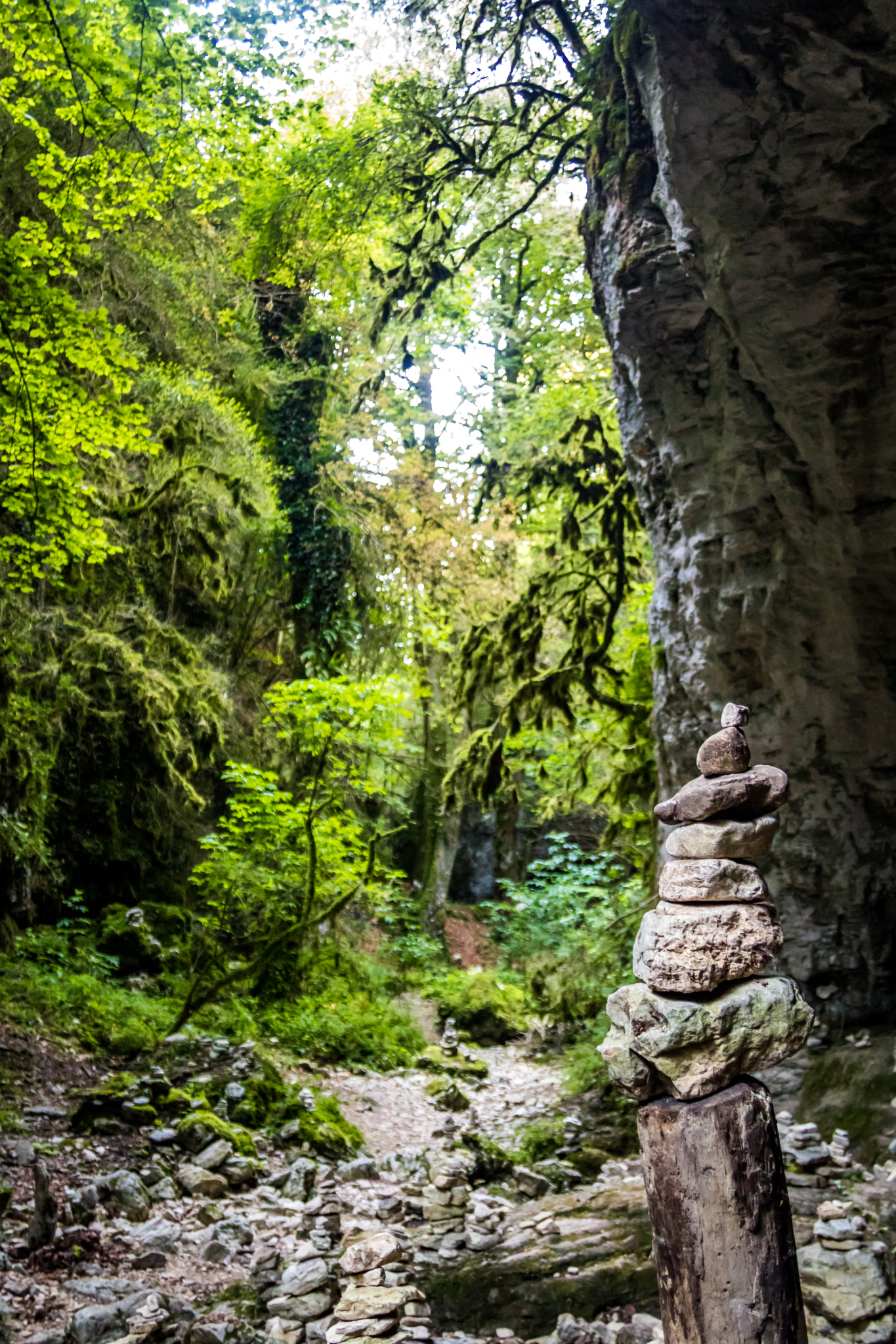 Canon EF 24-85mm F3.5-4.5 USM sample photo. Cairn in canyon des gueulards (vercors - french al photography