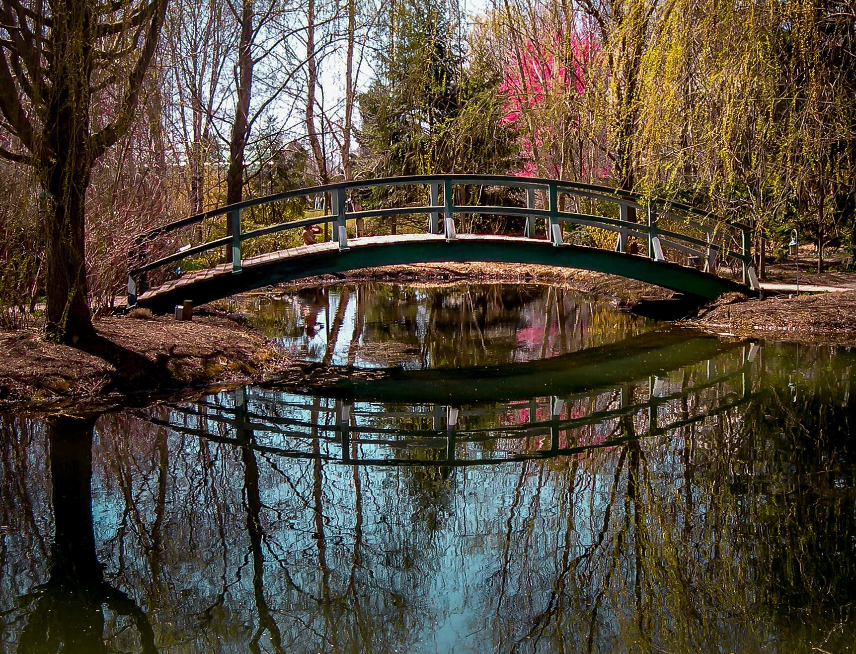 Nikon E4300 sample photo. Monet bridge over water lily pond photography