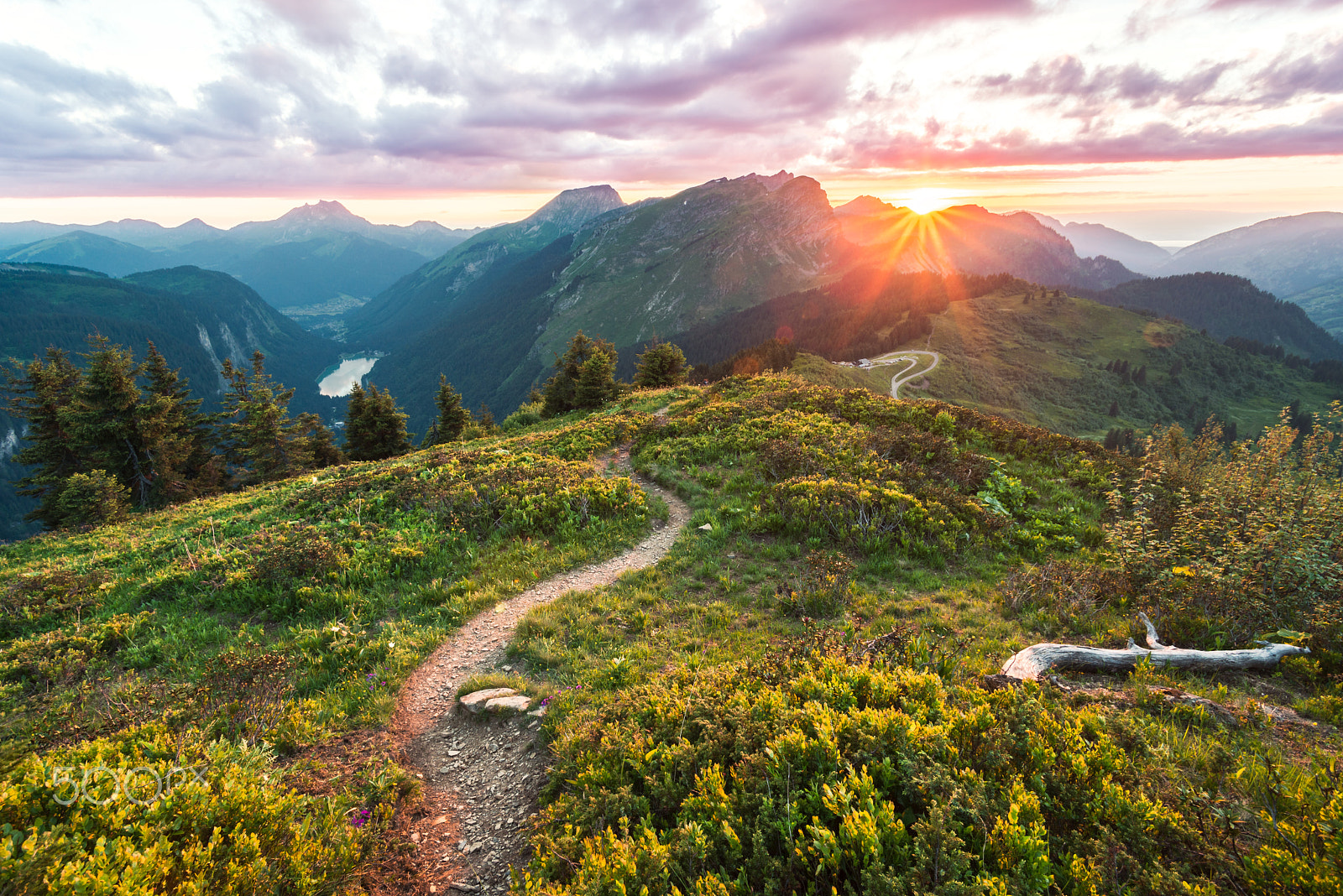 Nikon D600 sample photo. Col de bassachaux photography