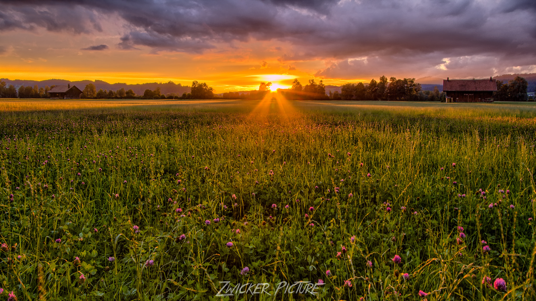 10.0 - 22.0 mm sample photo. Enjoying the last sunrays of the day photography