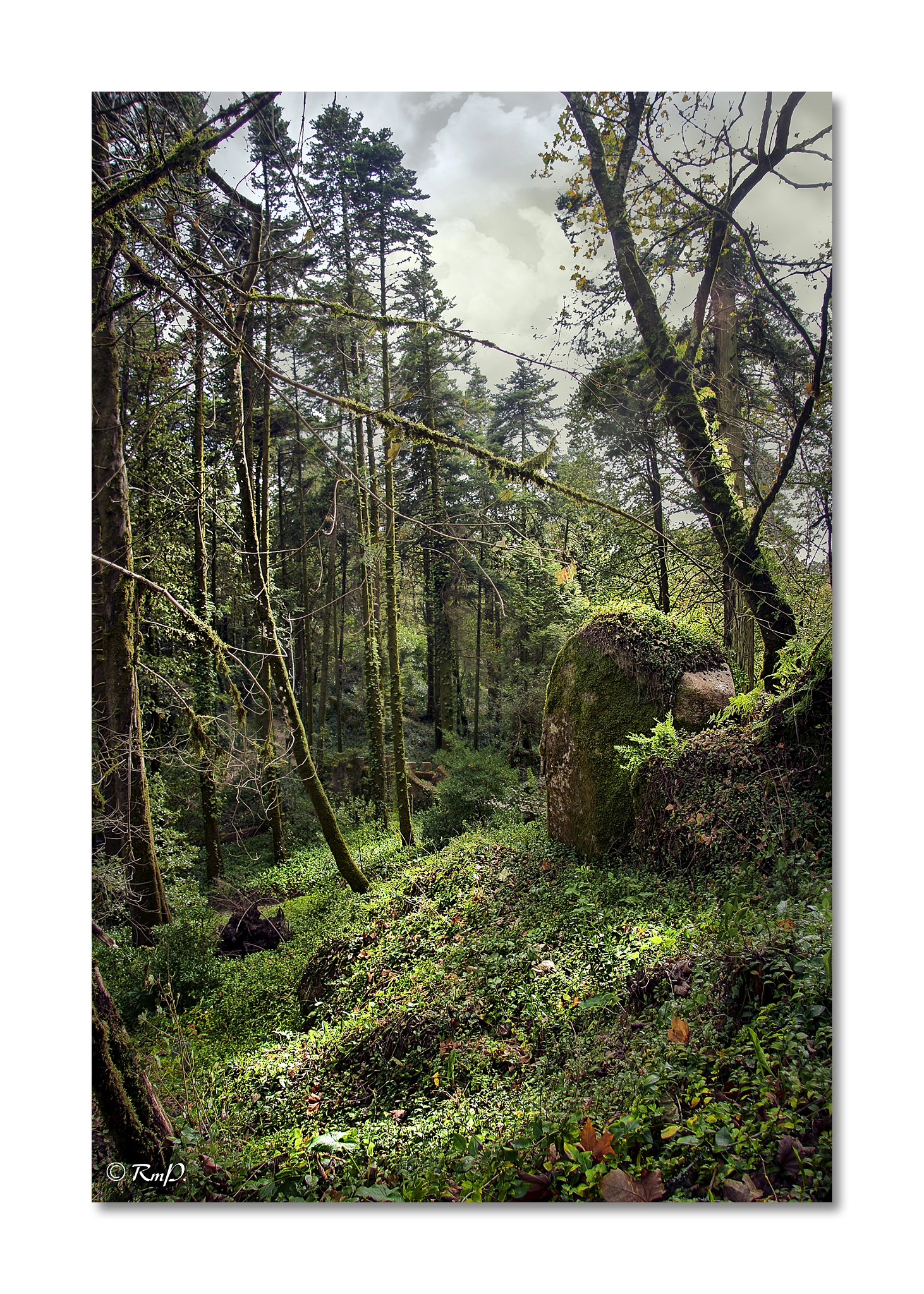 Canon EF-S 17-85mm F4-5.6 IS USM sample photo. Tierra de elfos / land of elves photography