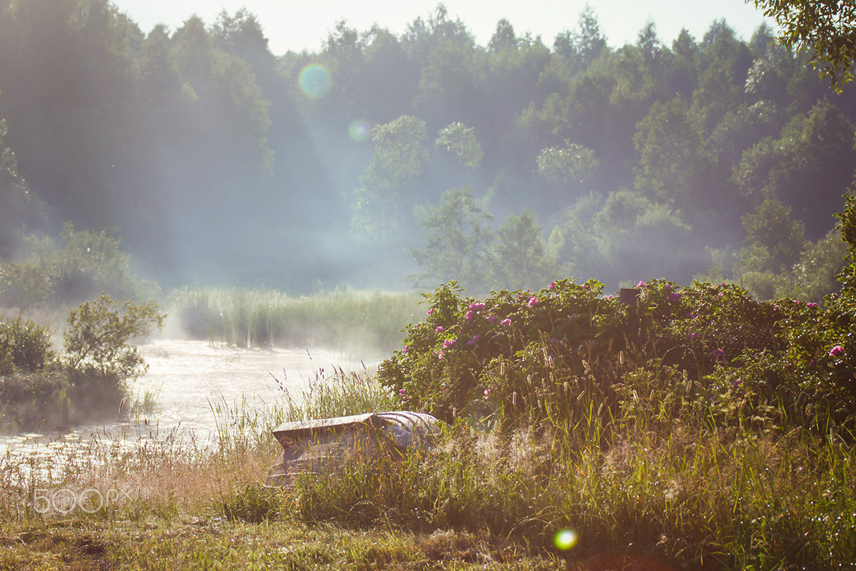 Canon EOS 60D + Canon EF 100-300mm f/5.6L sample photo. *** photography