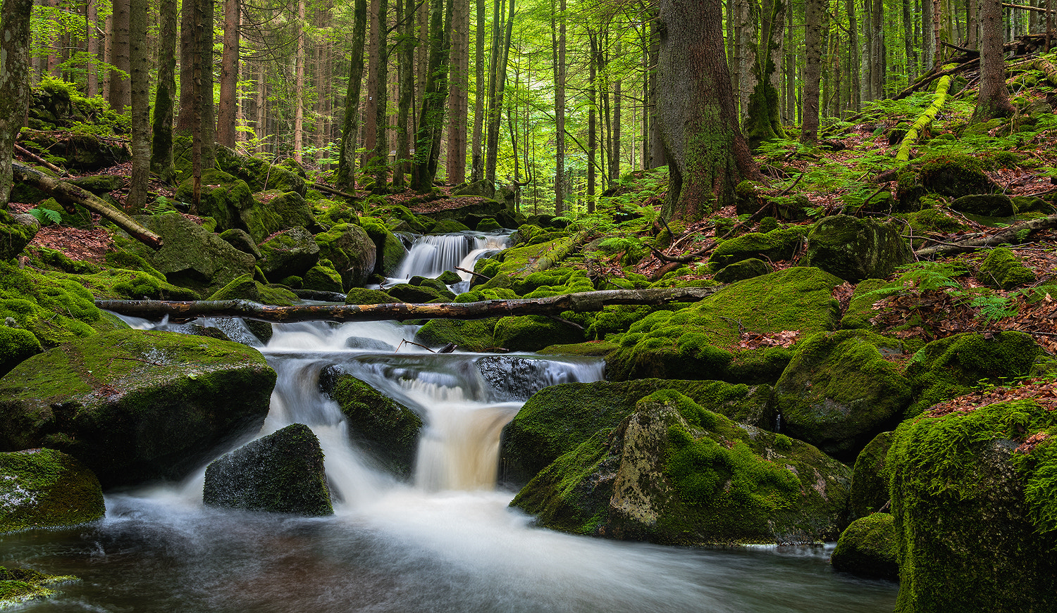 Nikon D500 + Tamron AF 28-75mm F2.8 XR Di LD Aspherical (IF) sample photo. A small creek in the bavarian forest vi photography