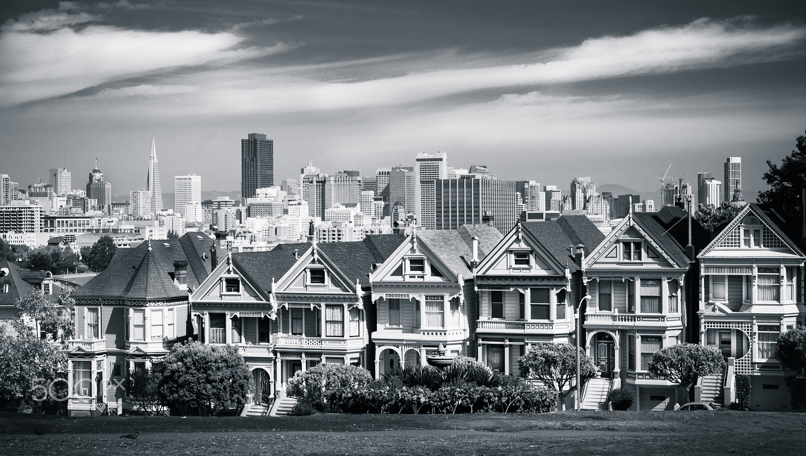 Sony a7R + 24-70mm F2.8 sample photo. Painted ladies san francisco photography