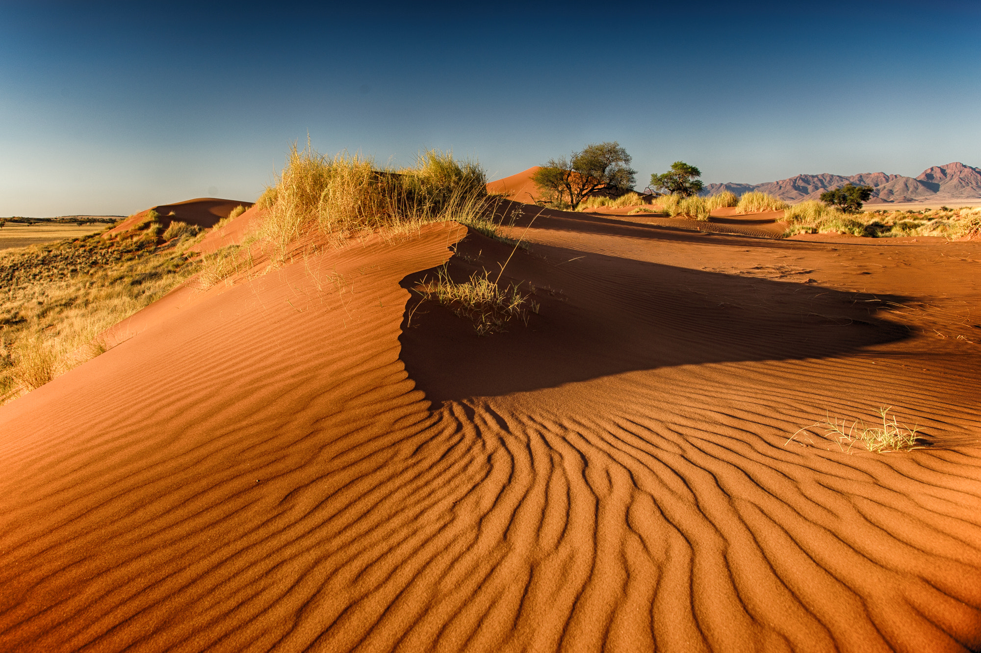 Nikon D3S sample photo. Desseins de sable photography