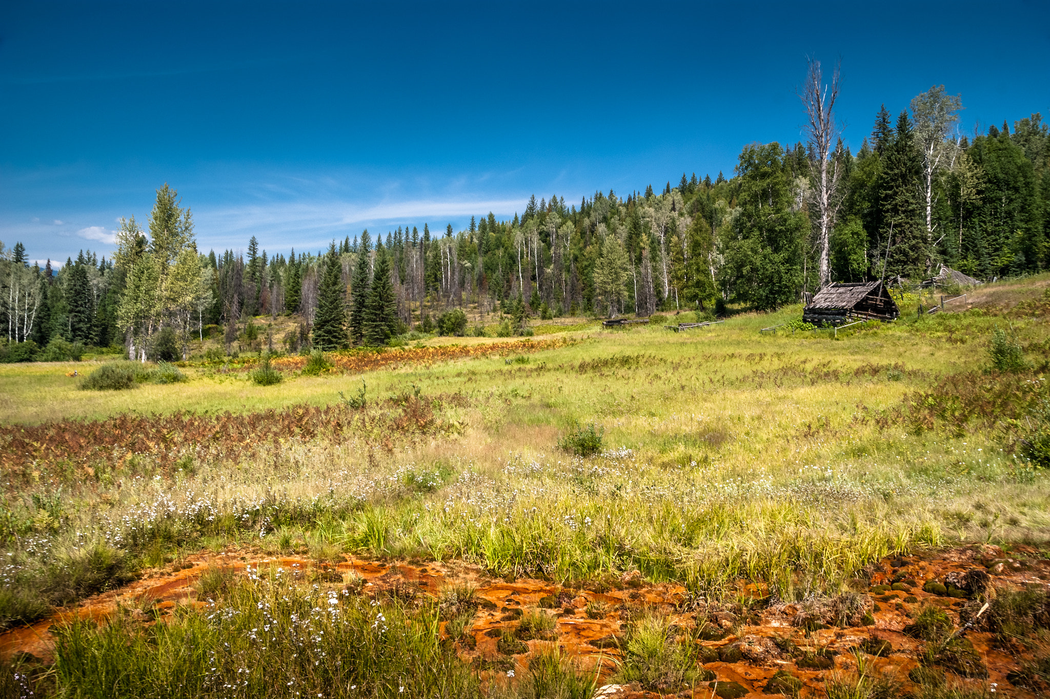 Sony Alpha DSLR-A350 sample photo. Abandoned farm somewhere in canada.... photography