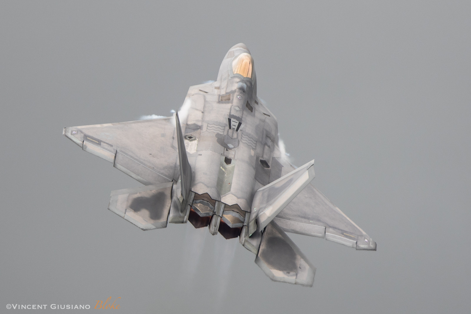 Canon EF 300mm F2.8L IS USM sample photo. F-22a photography