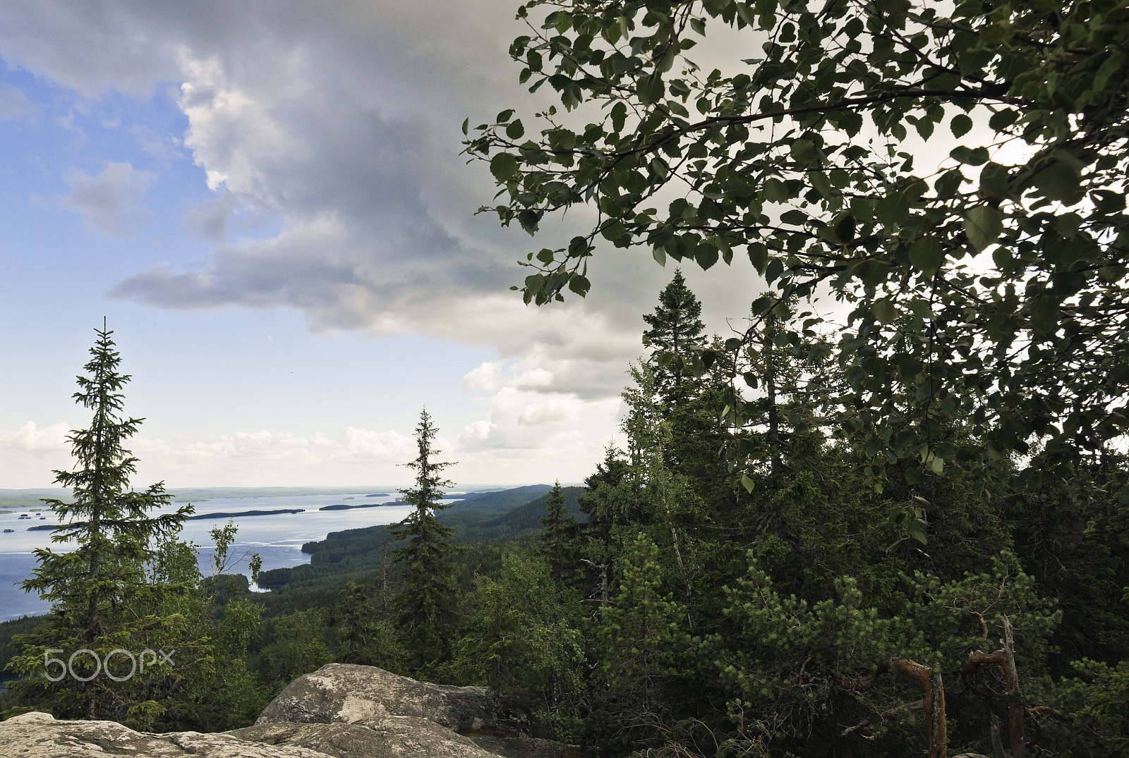 Minolta AF 50mm F1.7 sample photo. Forest around lake pielinen photography