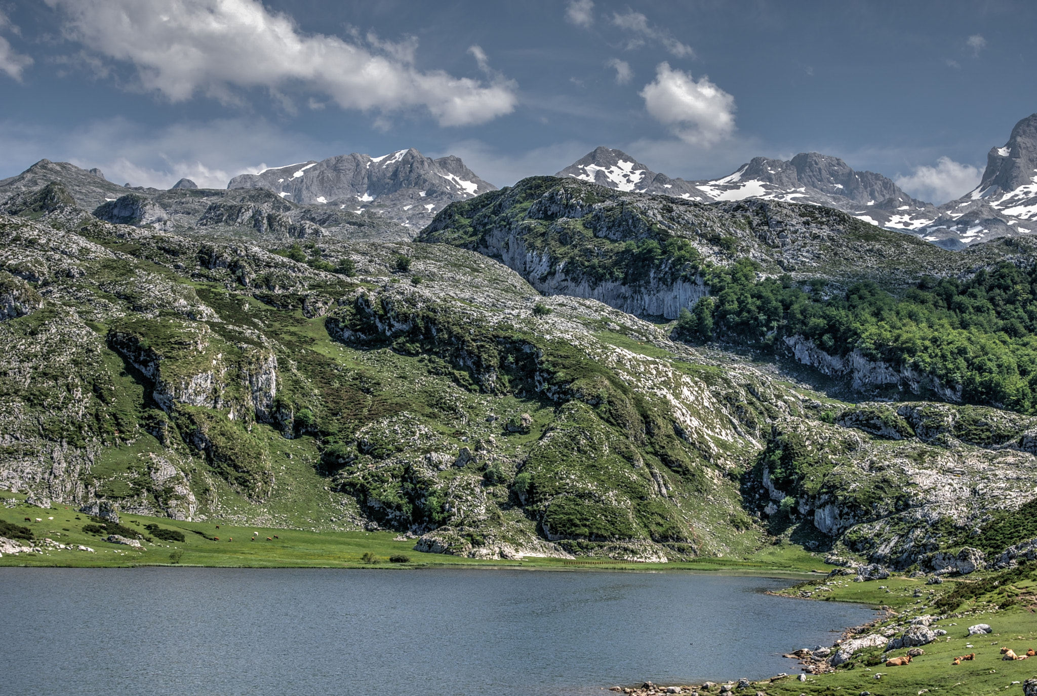 Nikon D80 sample photo. Picos de europa photography