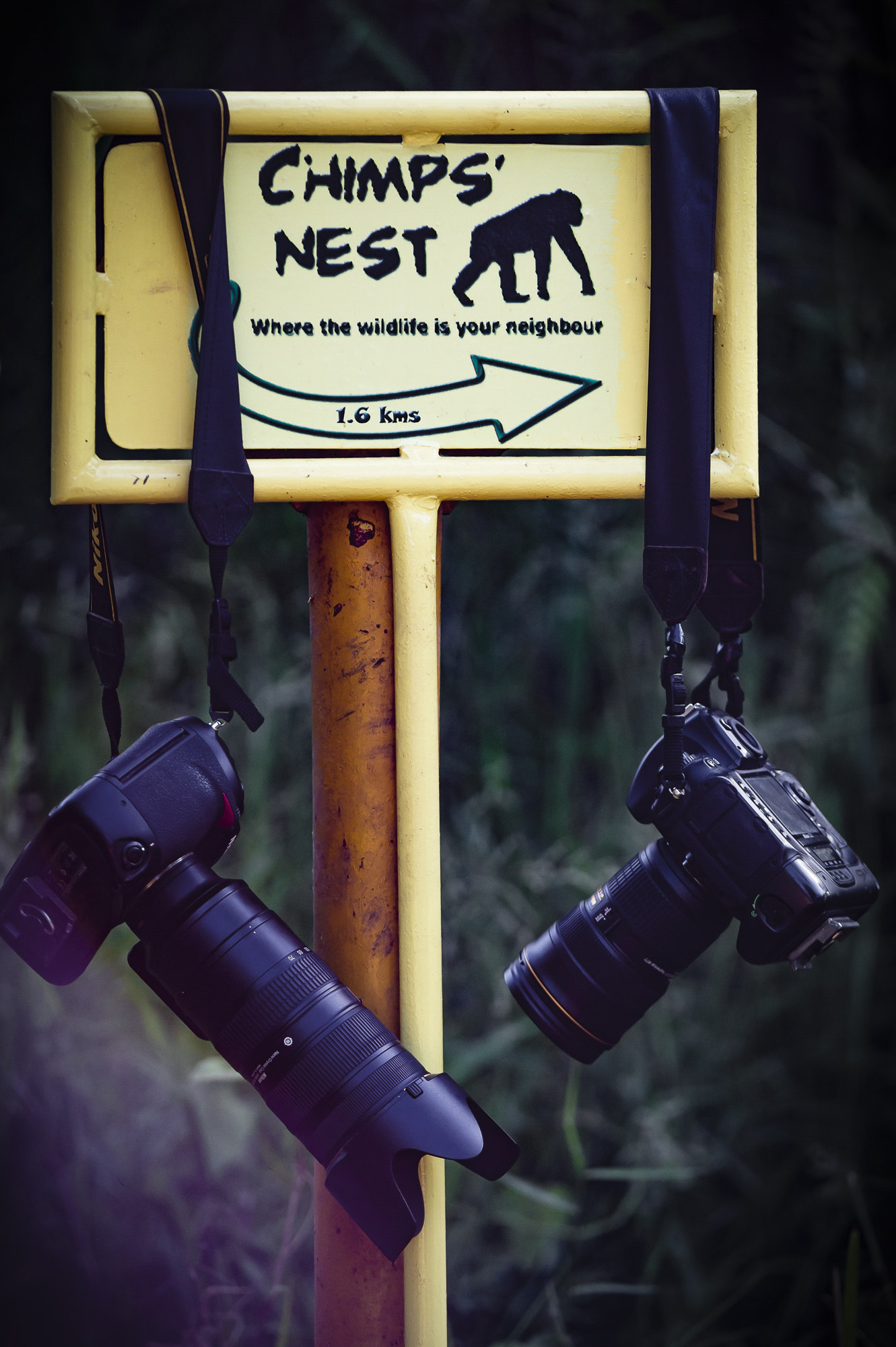 Nikon D3S sample photo. Relax reflex photography
