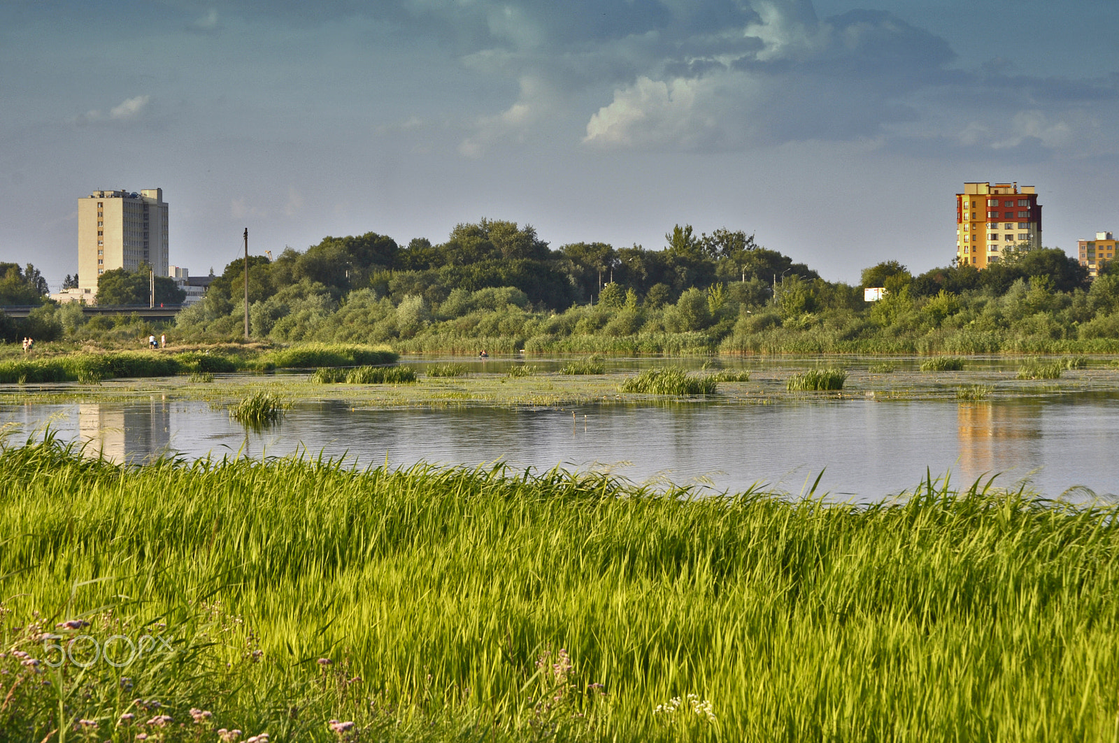 Nikon D5000 sample photo. Lutsk sketches photography