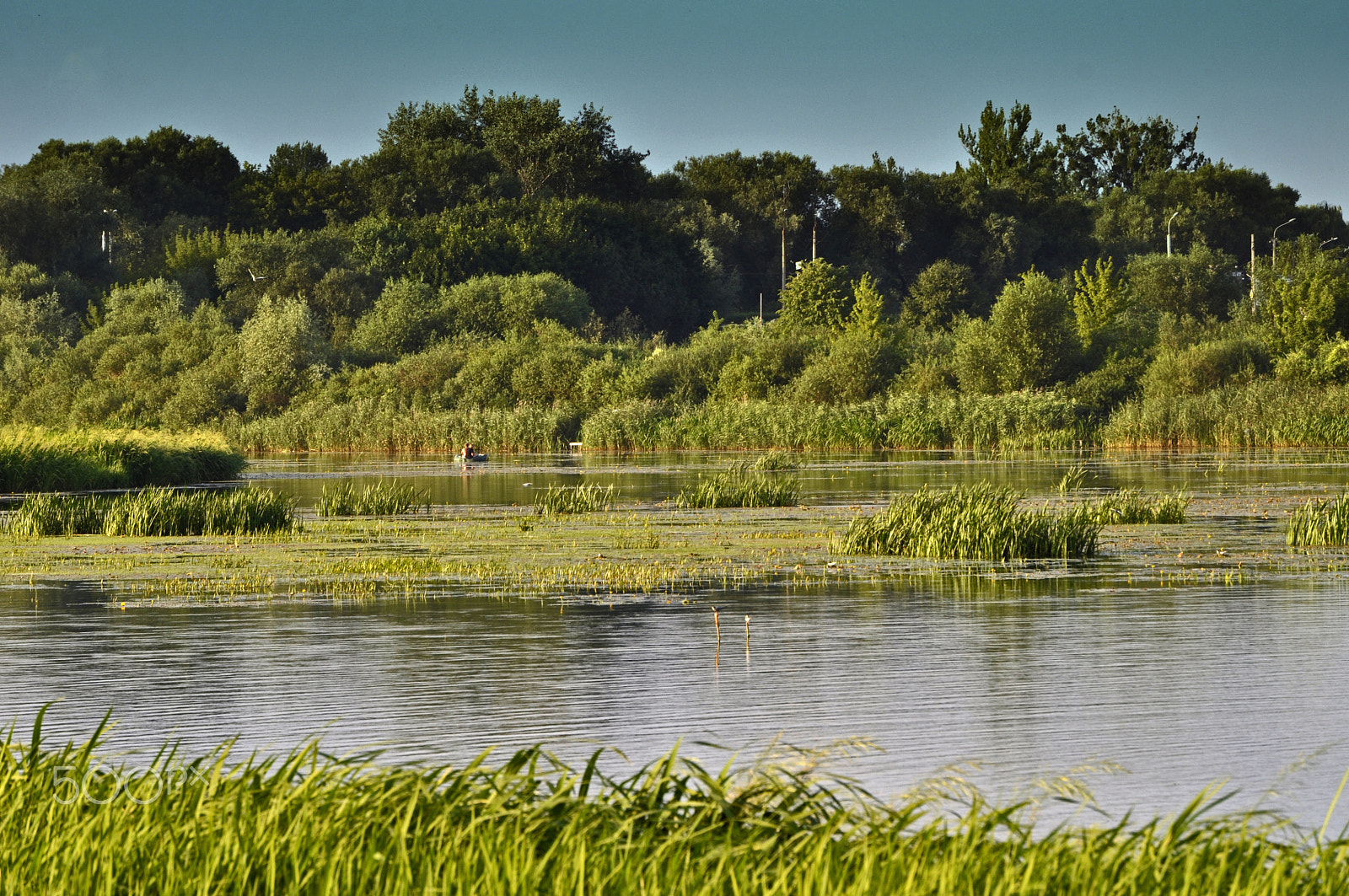 Nikon D5000 sample photo. Lutsk sketches photography