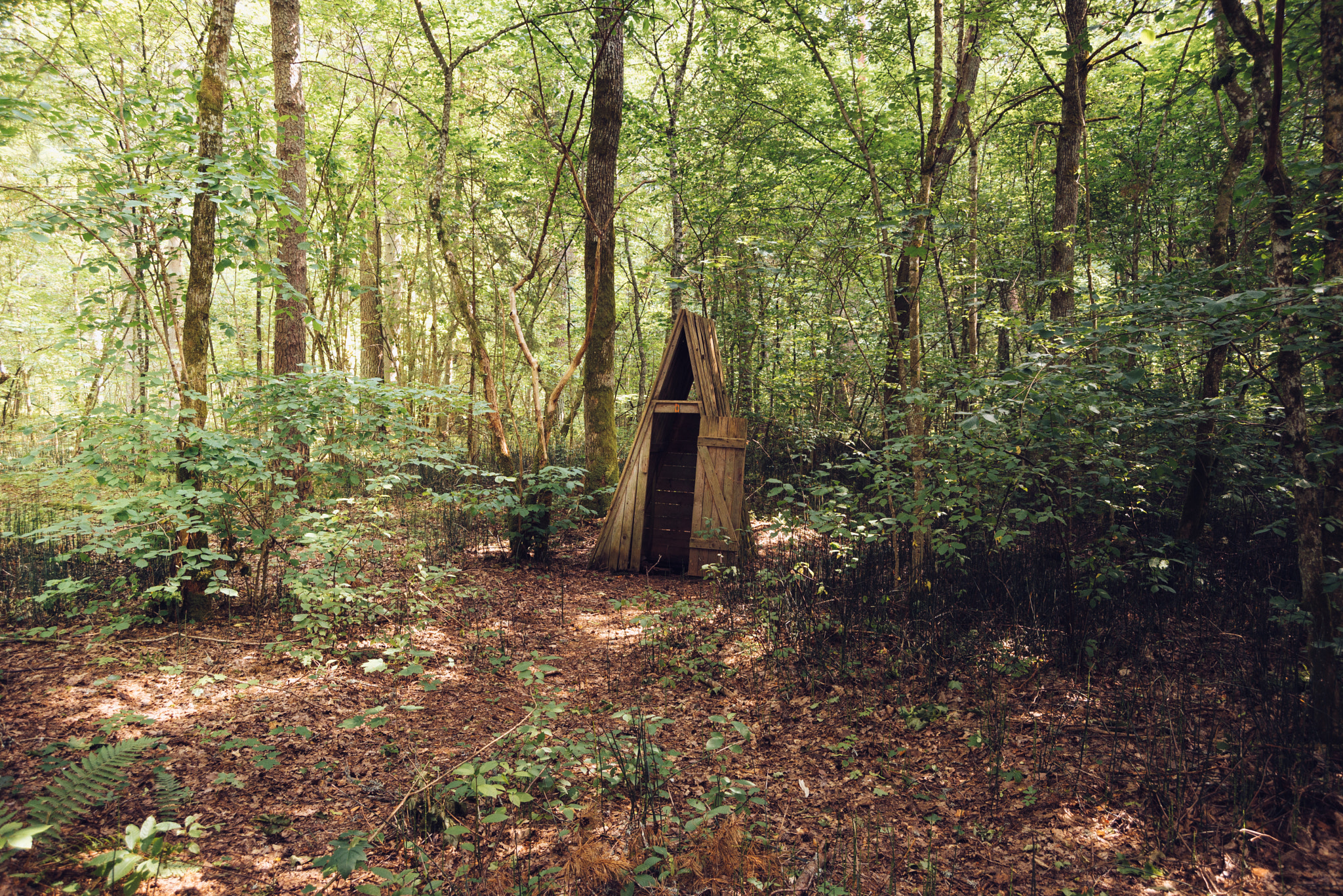 AF Zoom-Nikkor 28-70mm f/3.5-4.5D sample photo. Hidden gnome house inside the sacred forest photography