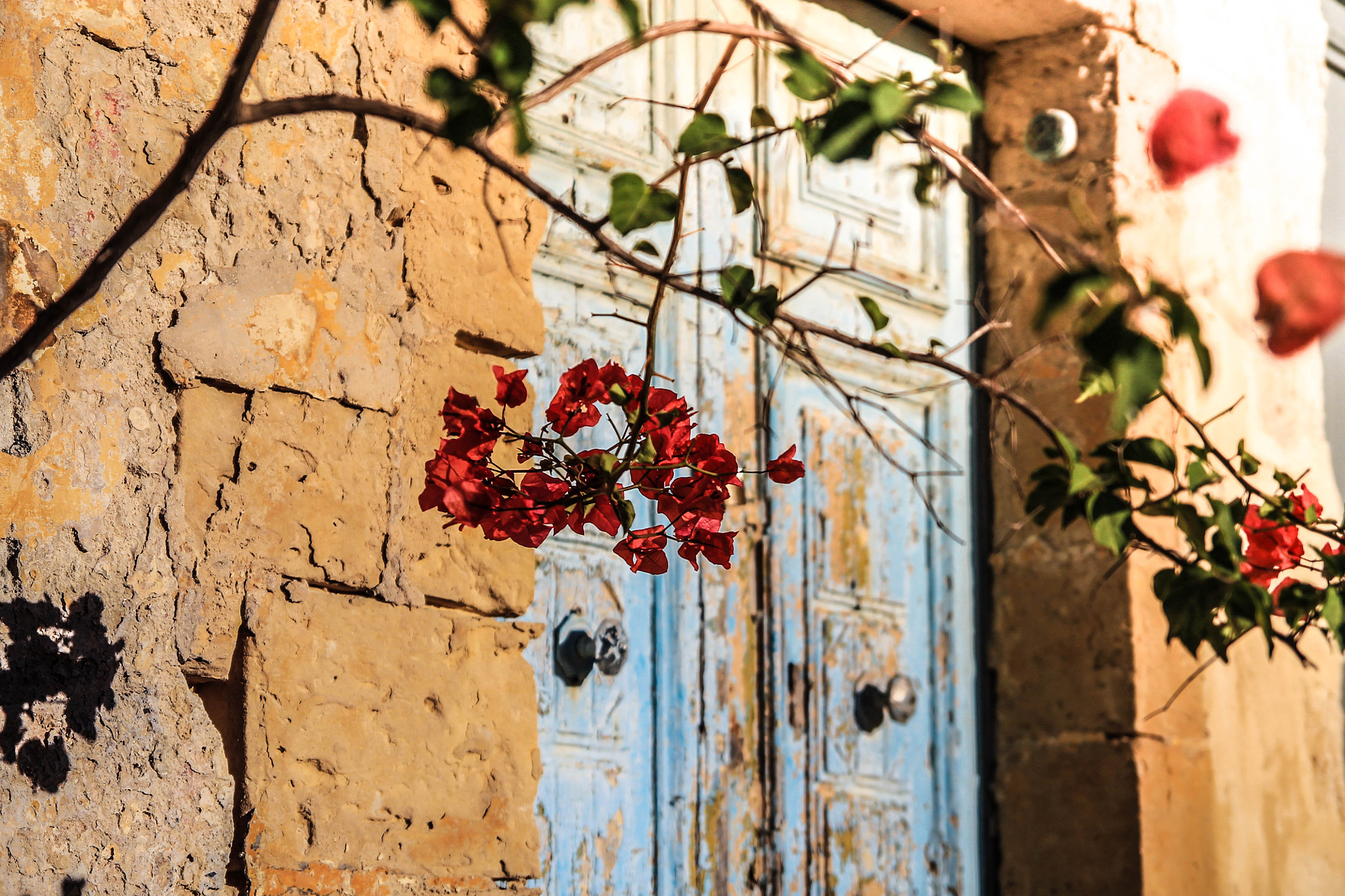 Tamron SP AF 17-50mm F2.8 XR Di II LD Aspherical (IF) sample photo. Blue door photography
