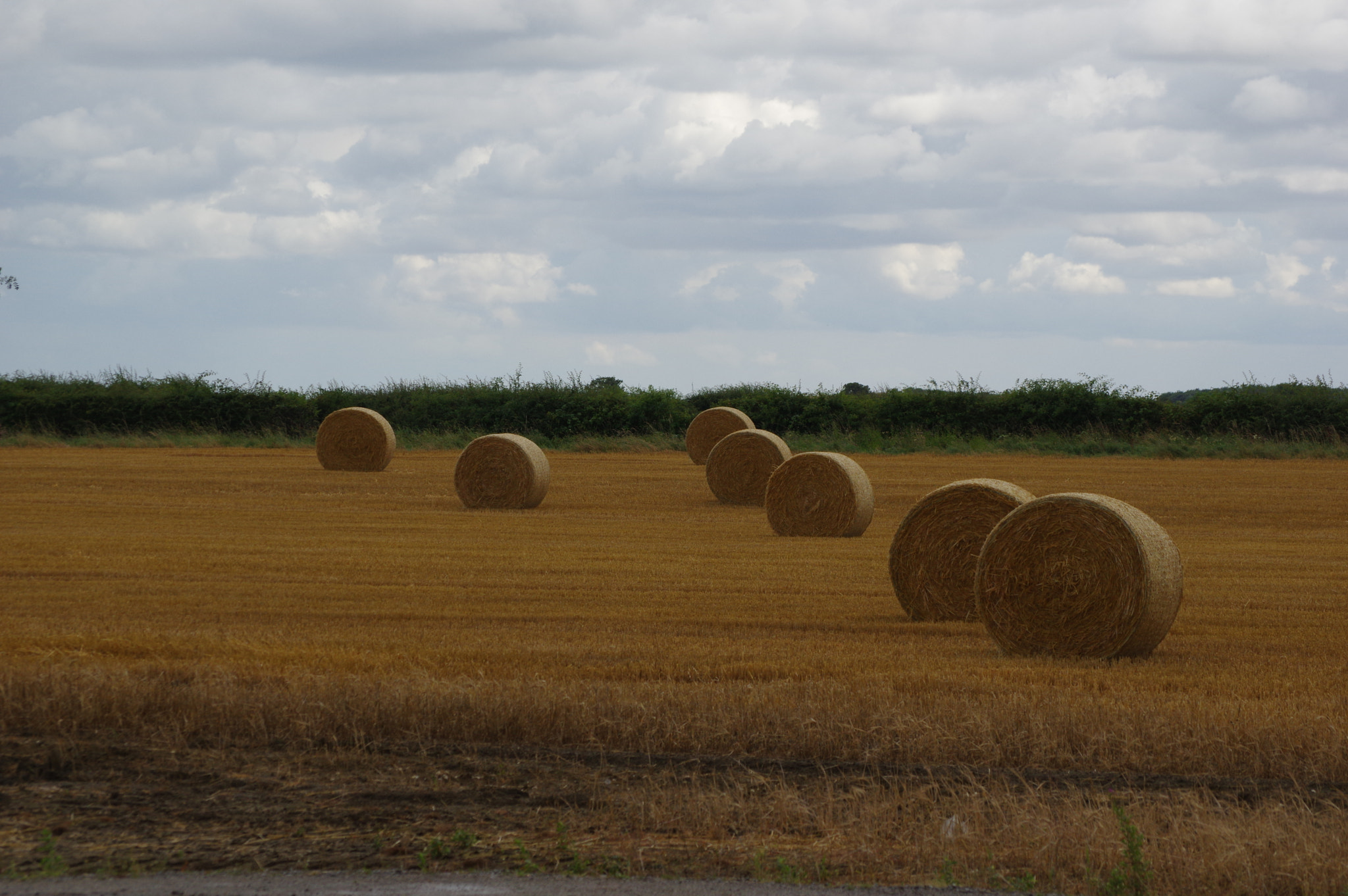 smc PENTAX-DA L 50-200mm F4-5.6 ED sample photo. Bales photography