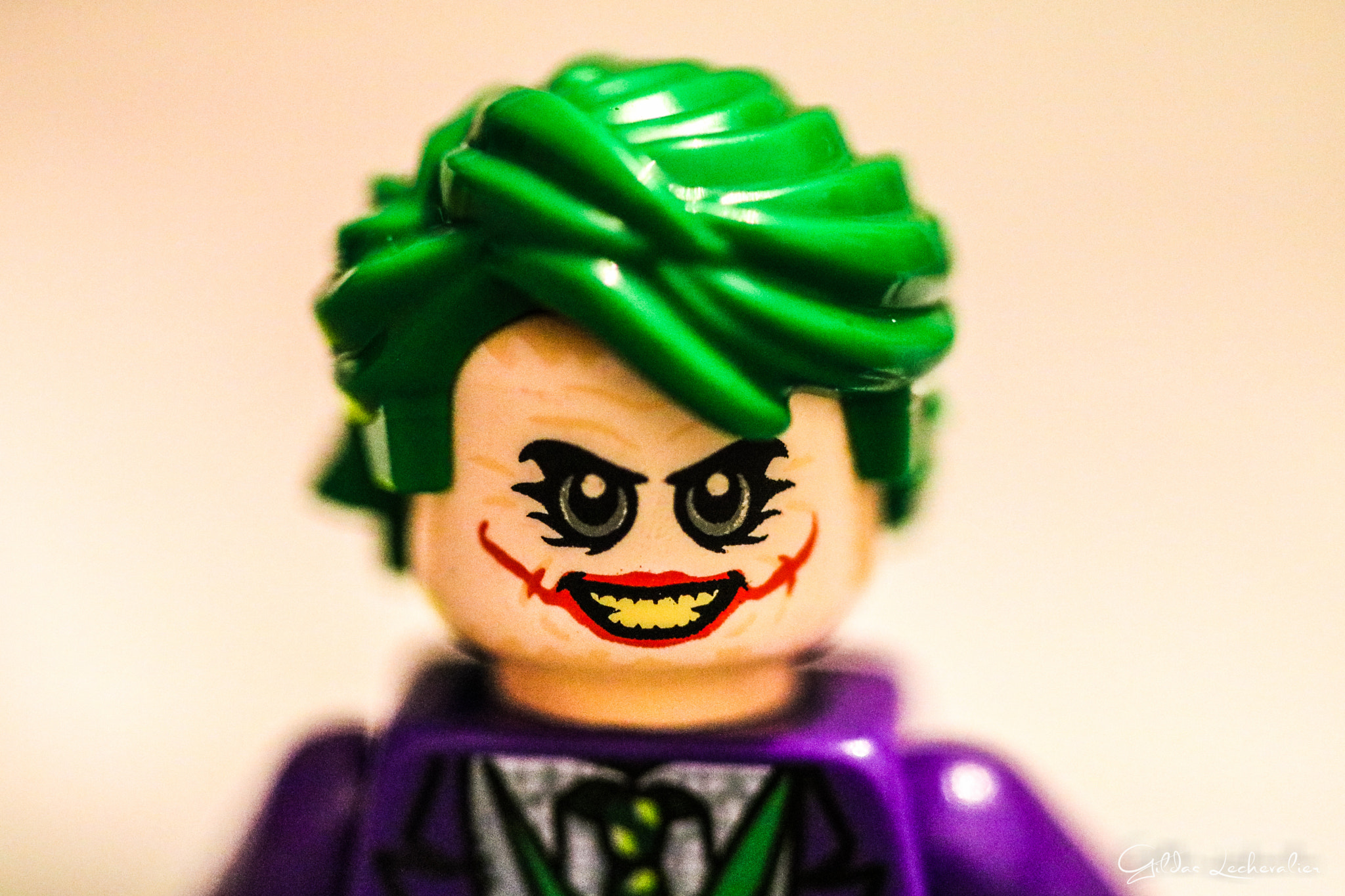 Canon EF 100mm F2.8 Macro USM sample photo. Joker photography