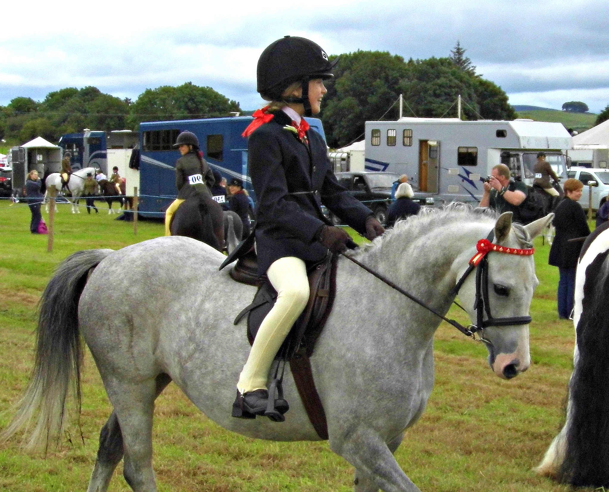 Panasonic Lumix DMC-LZ30 sample photo. Stewartry show, august 2016 photography