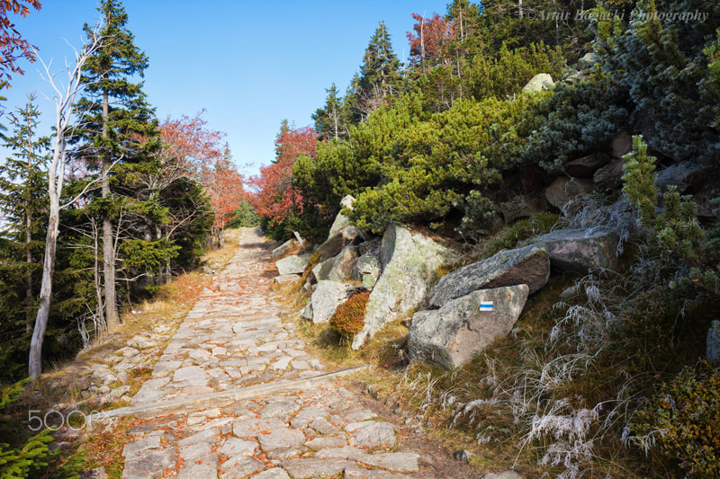 Canon EF 24mm F2.8 IS USM sample photo. Stone path in autumn mountains photography