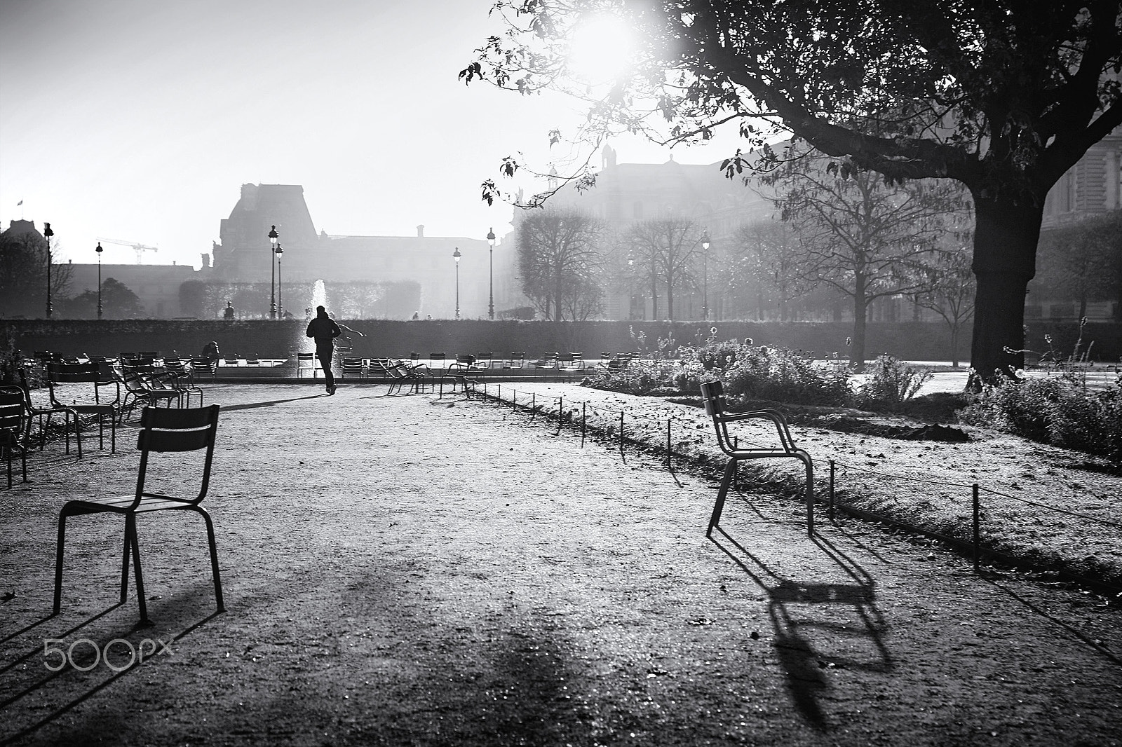 Sony Alpha a99 sample photo. Morning paris photography