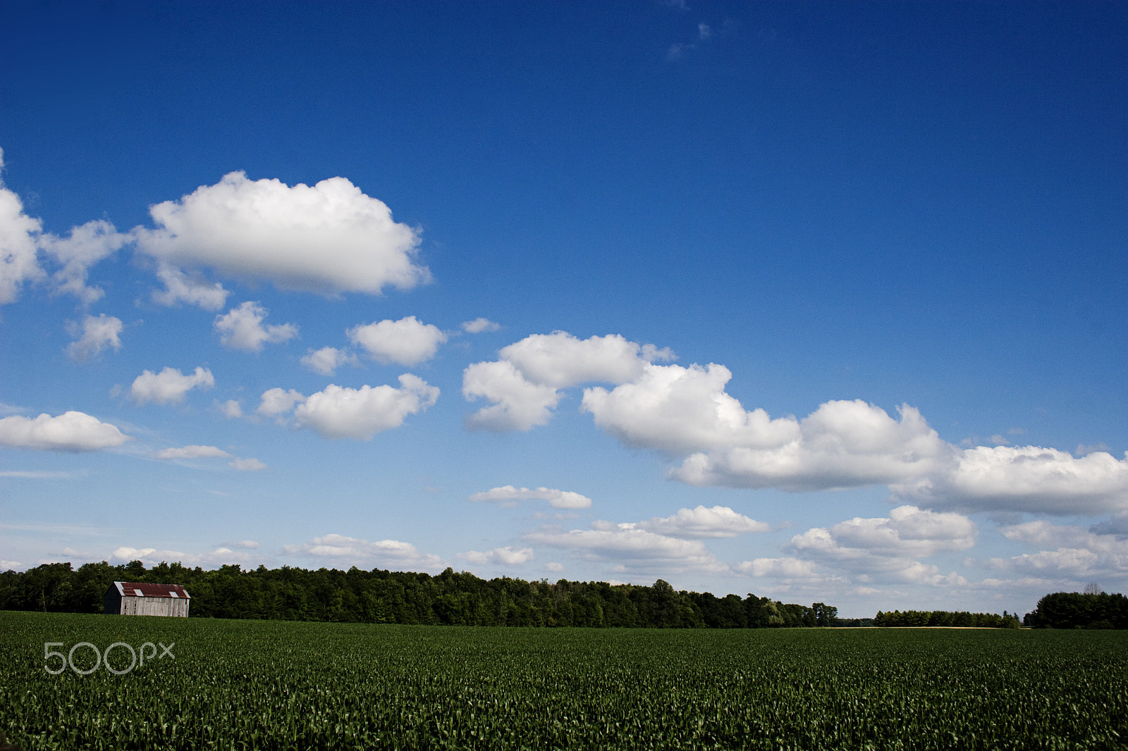 Canon EOS 30D sample photo. Field and sky photography