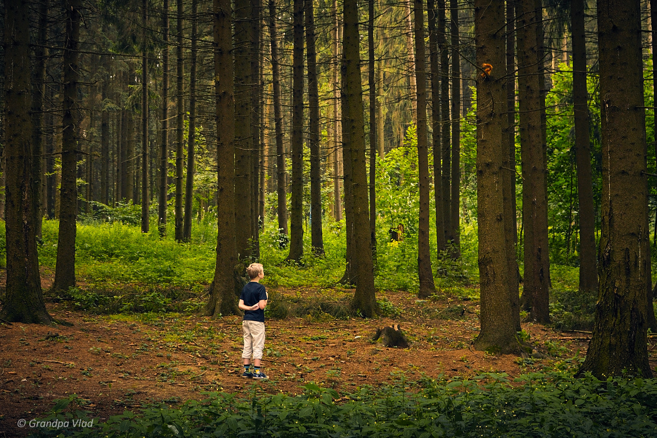 Canon EOS 1100D (EOS Rebel T3 / EOS Kiss X50) + Canon EF-S 18-55mm F3.5-5.6 IS STM sample photo. The boy and the squirrel... photography