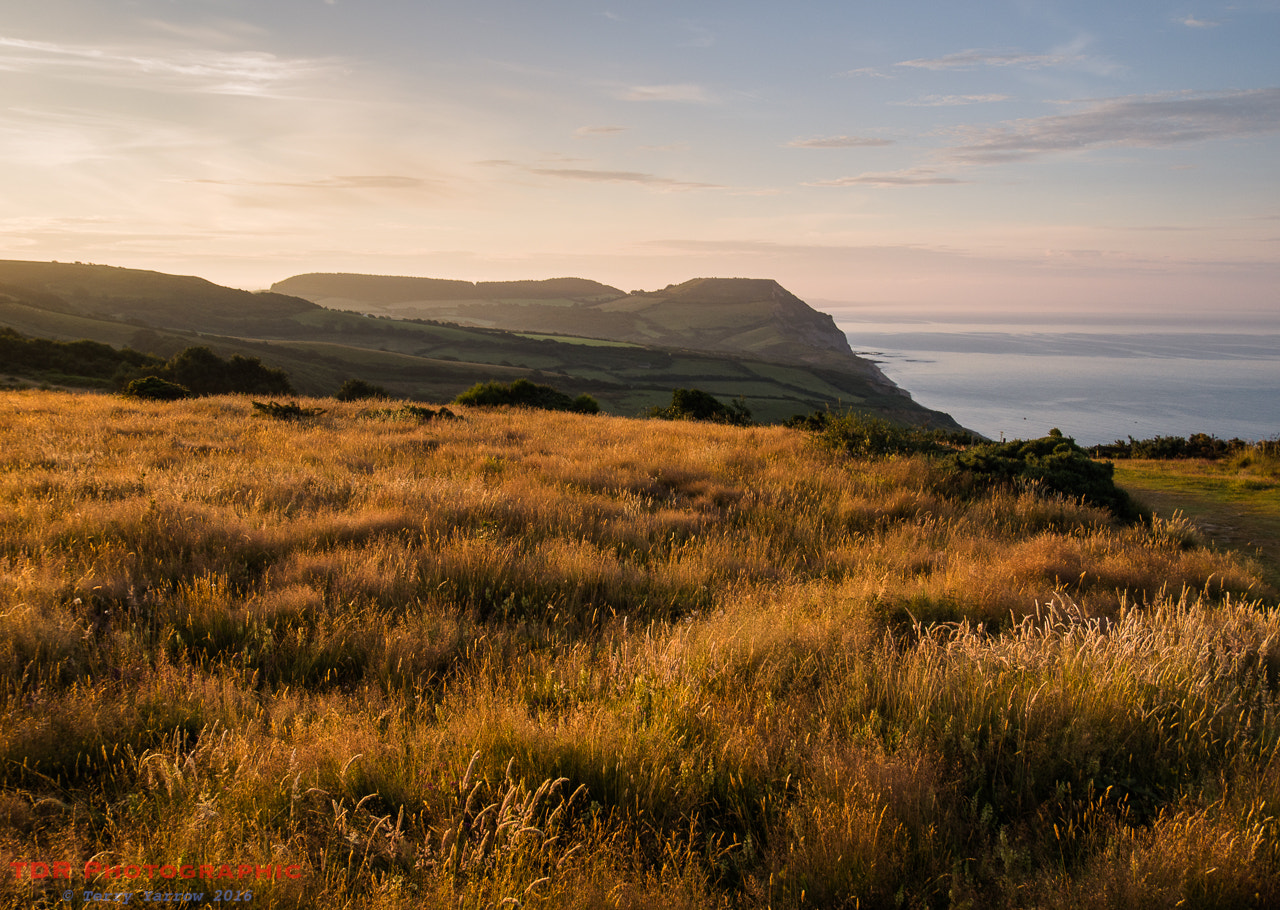 Olympus OM-D E-M1 sample photo. Sunrise on stonebarrow photography