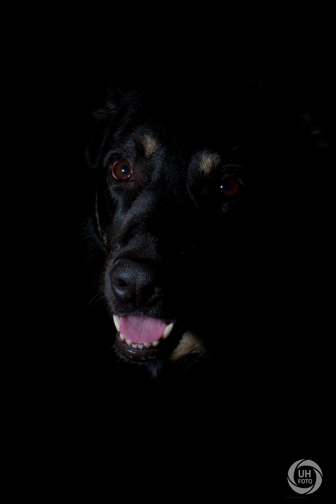 Sigma 50-200mm F4-5.6 DC OS HSM sample photo. Silas photography