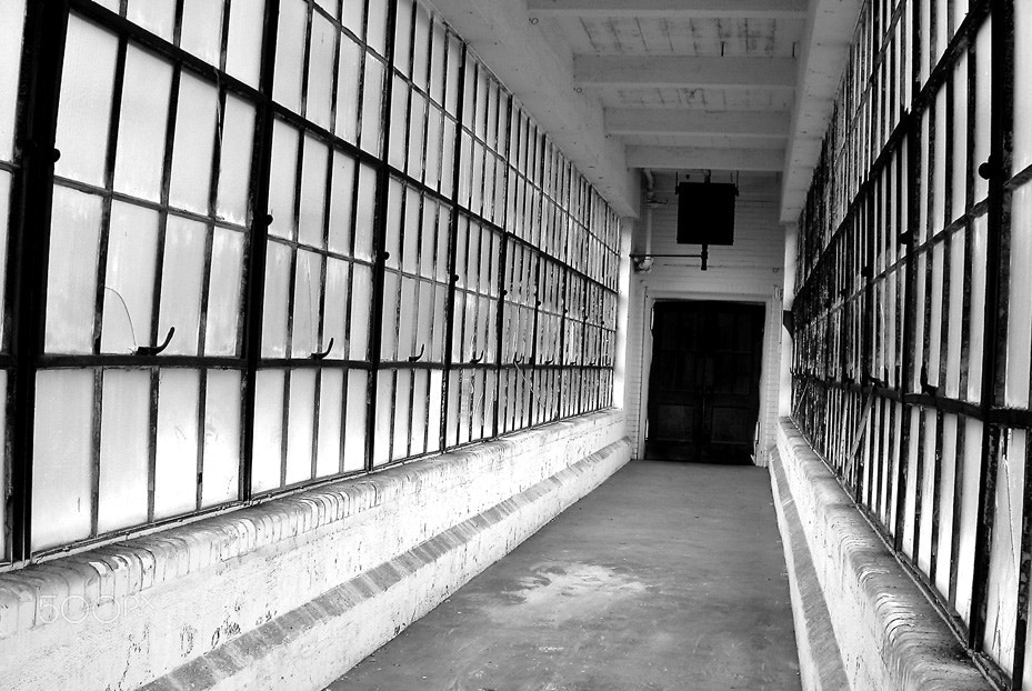Nikon E4500 sample photo. Long hall photography
