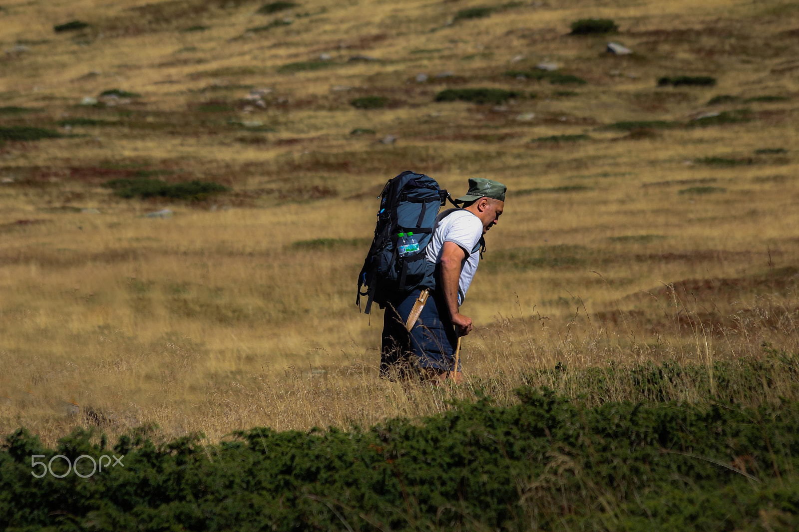 Sigma 70-300mm F4-5.6 APO DG Macro sample photo. Explore bulgaria... #5 photography