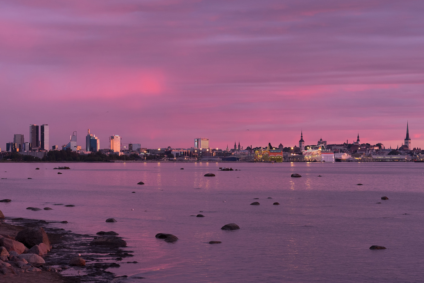 Fujifilm X-Pro2 + Fujifilm XF 60mm F2.4 R Macro sample photo. Tallinn skyline photography