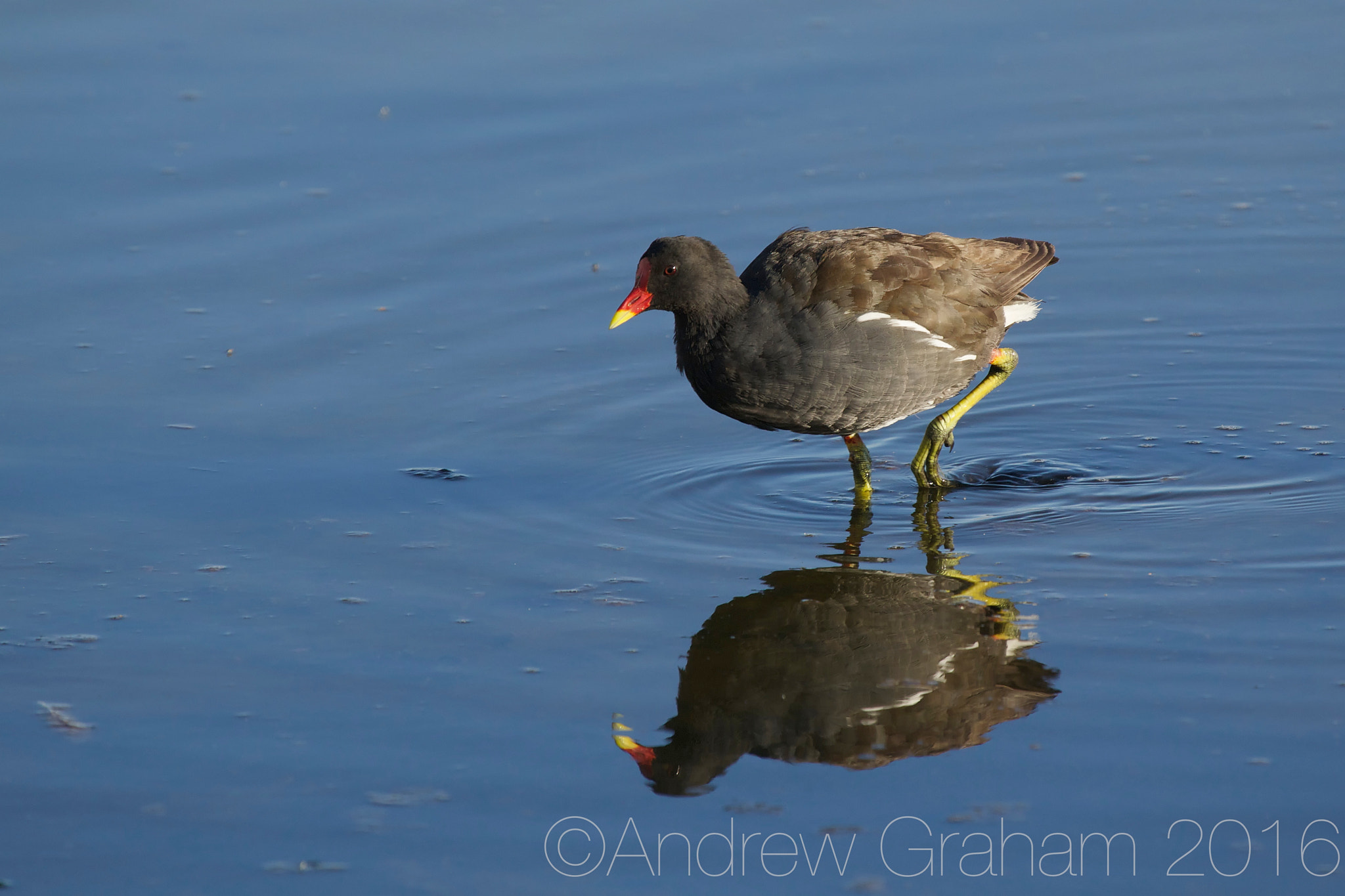 Canon EF 100-400mm F4.5-5.6L IS USM sample photo. Ripples photography