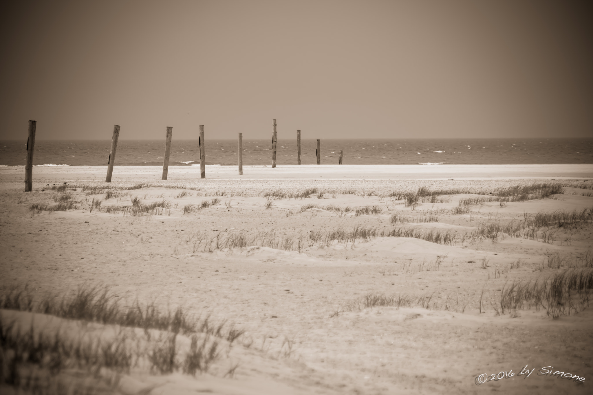 Sony FE 24-240mm F3.5-6.3 OSS sample photo. Dünen am strand photography