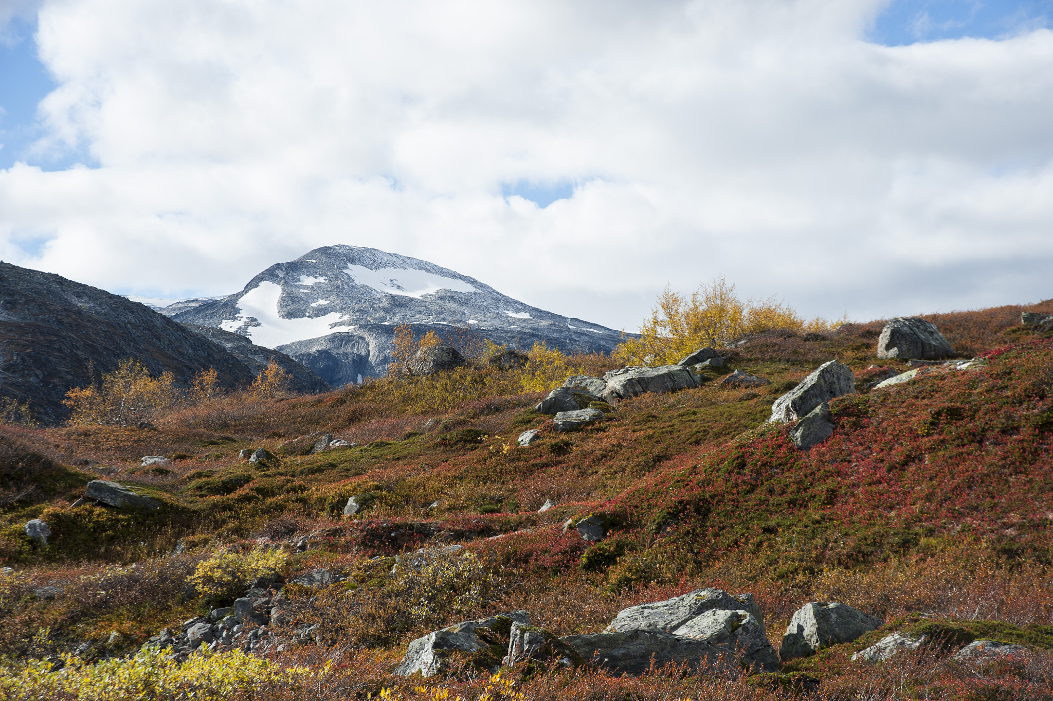 AF Zoom-Nikkor 28-105mm f/3.5-4.5D IF sample photo. Autumn in norway photography