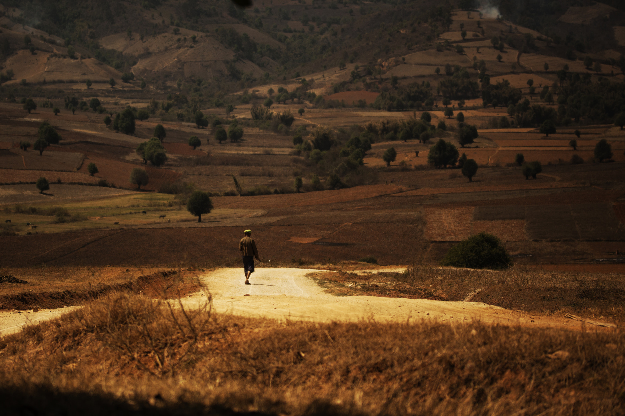 Canon EF-S 60mm F2.8 Macro USM sample photo. Myanmar - dry grounds photography