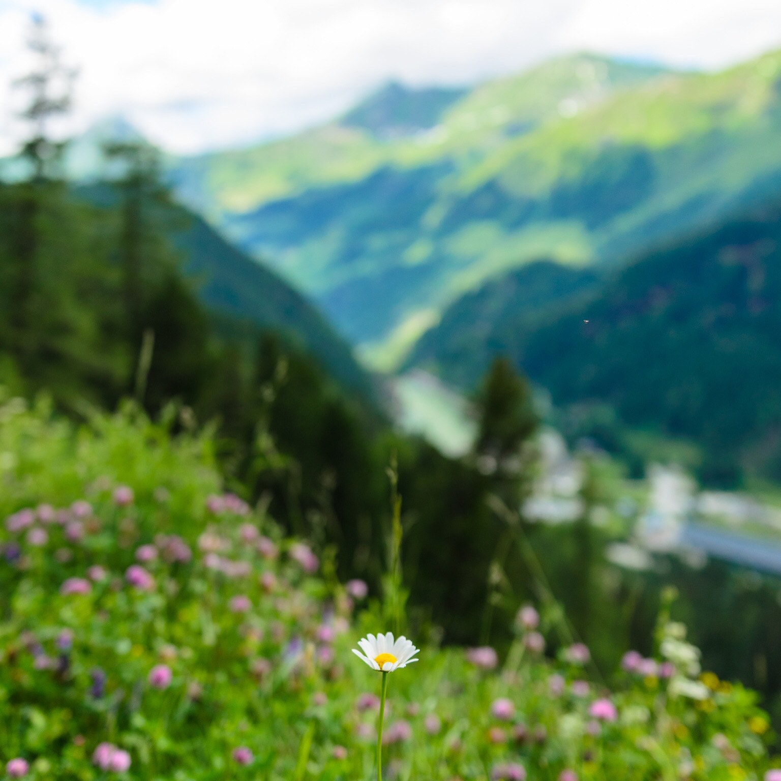 Nikon D5100 + Sigma 18-35mm F1.8 DC HSM Art sample photo. Be different photography