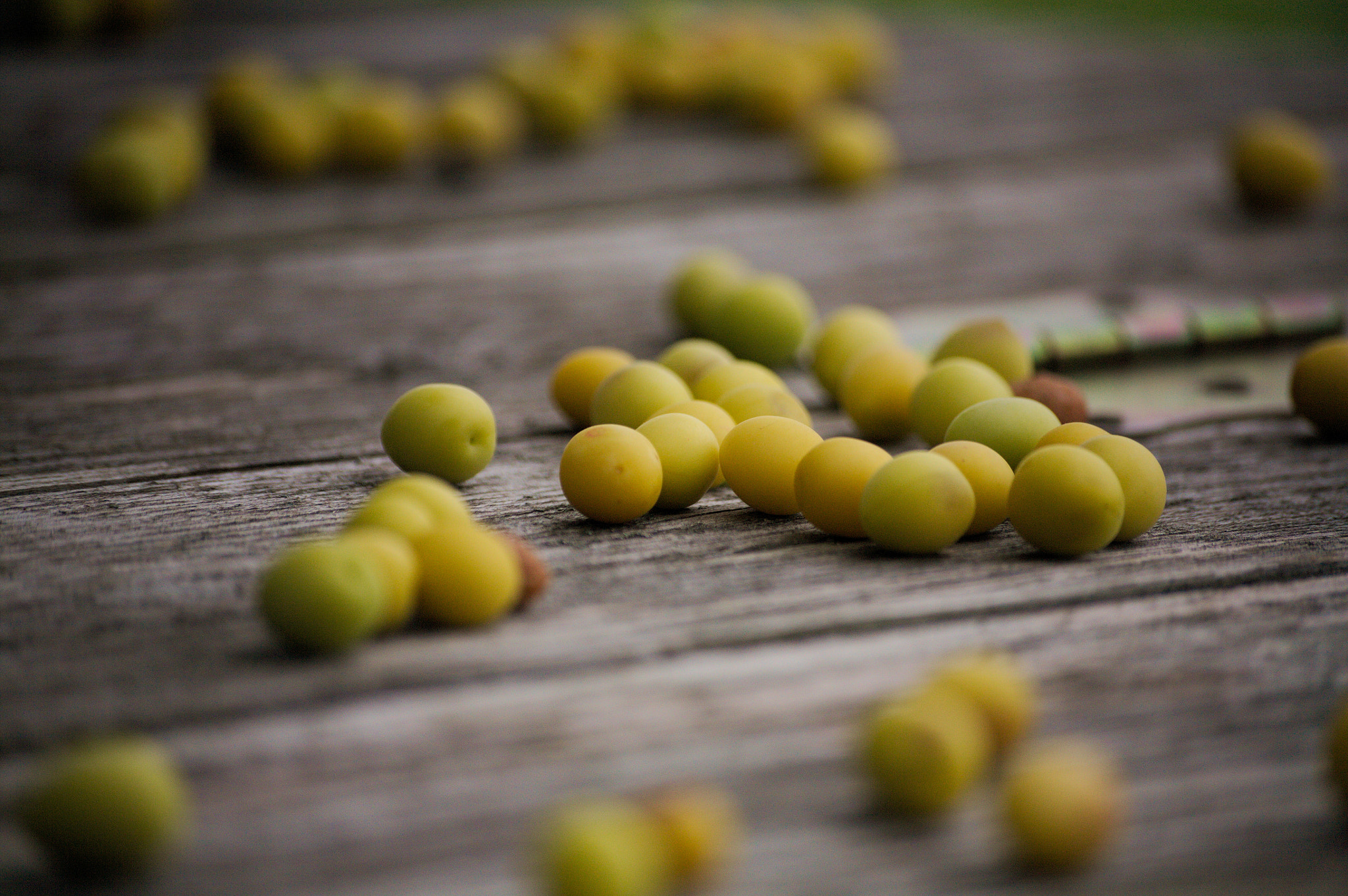Canon EOS 5D sample photo. Plums photography