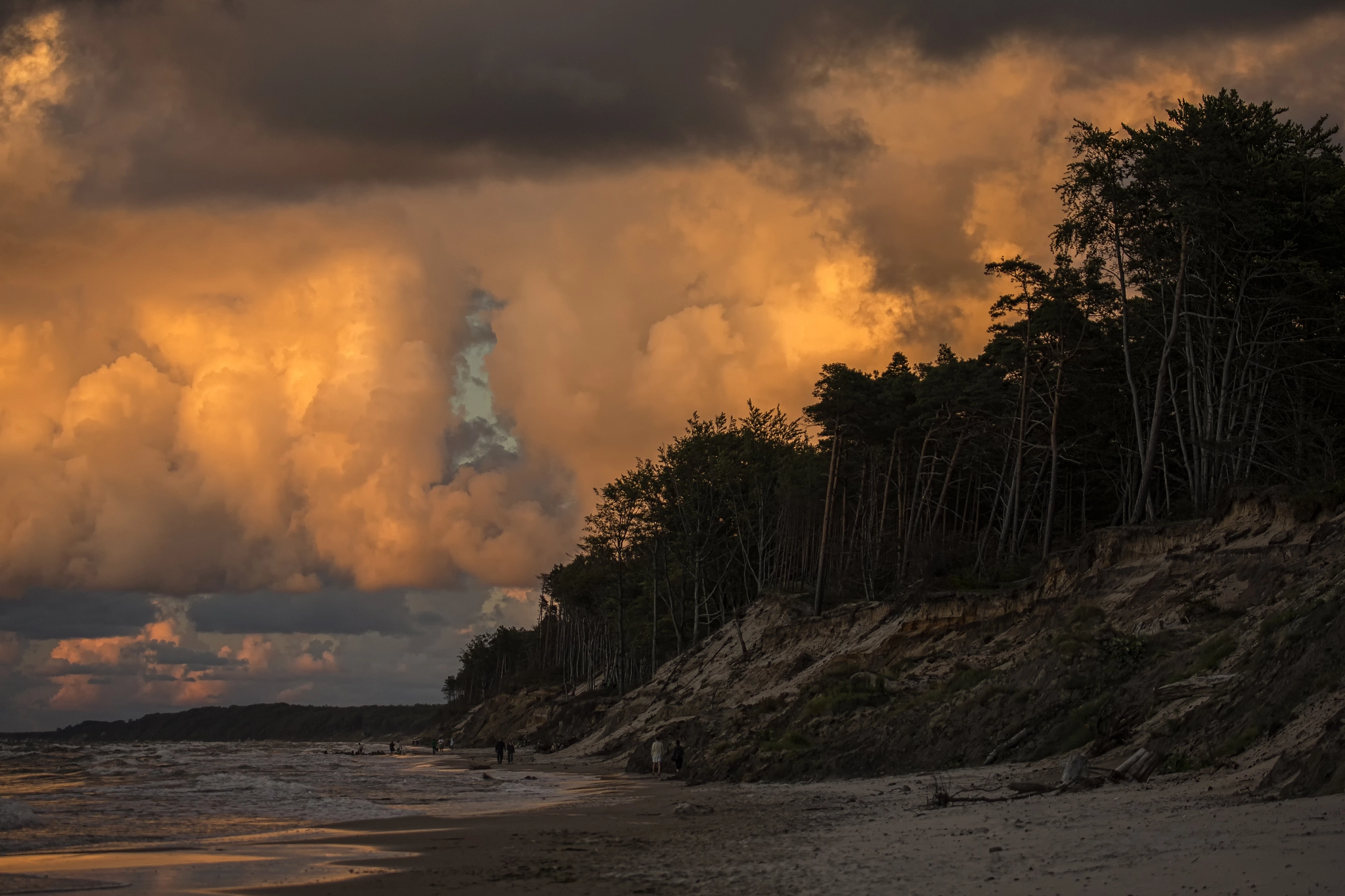 Canon EOS-1D X + Canon EF 100-400mm F4.5-5.6L IS USM sample photo. Baltic sea - orzechowo photography