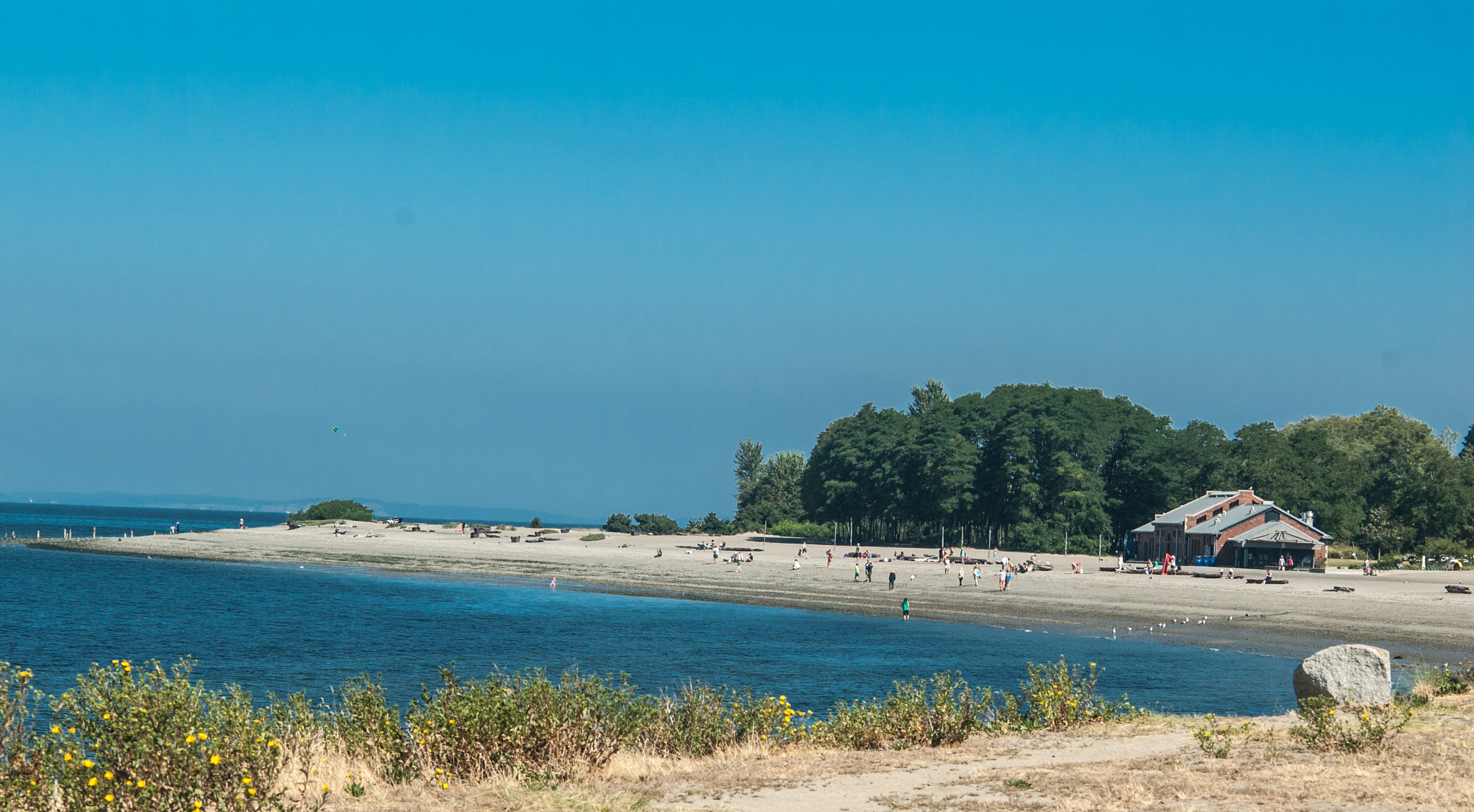 Nikon D200 + AF Nikkor 70-210mm f/4-5.6D sample photo. Golden gardens photography