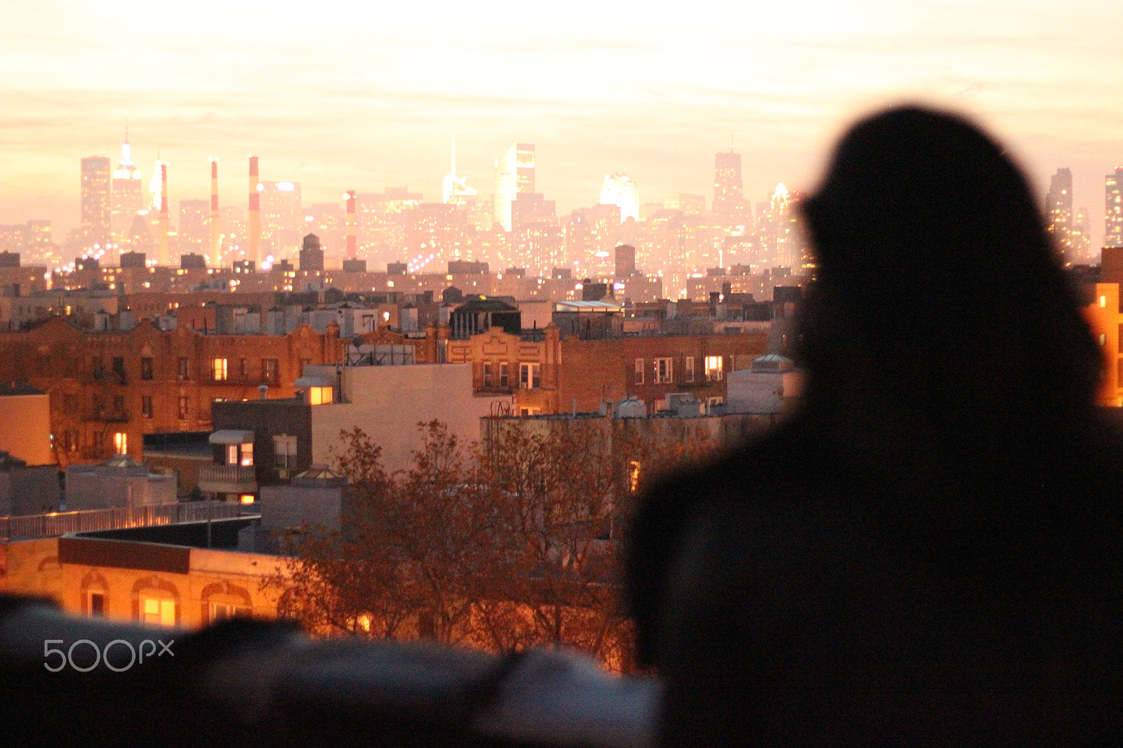 Canon EF 50mm F1.8 II sample photo. Queens photography