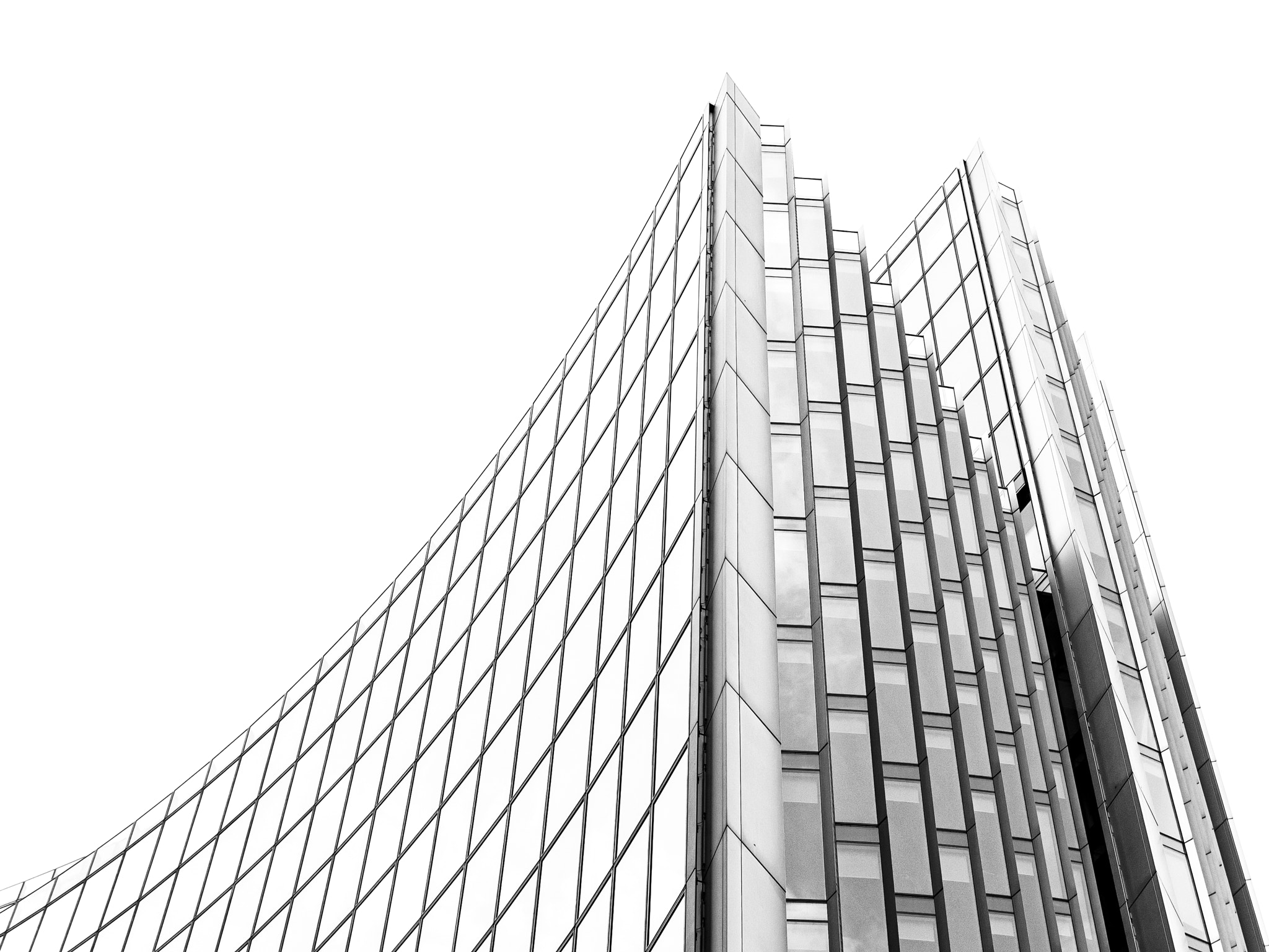 Nikon D300 sample photo. Histogram photography