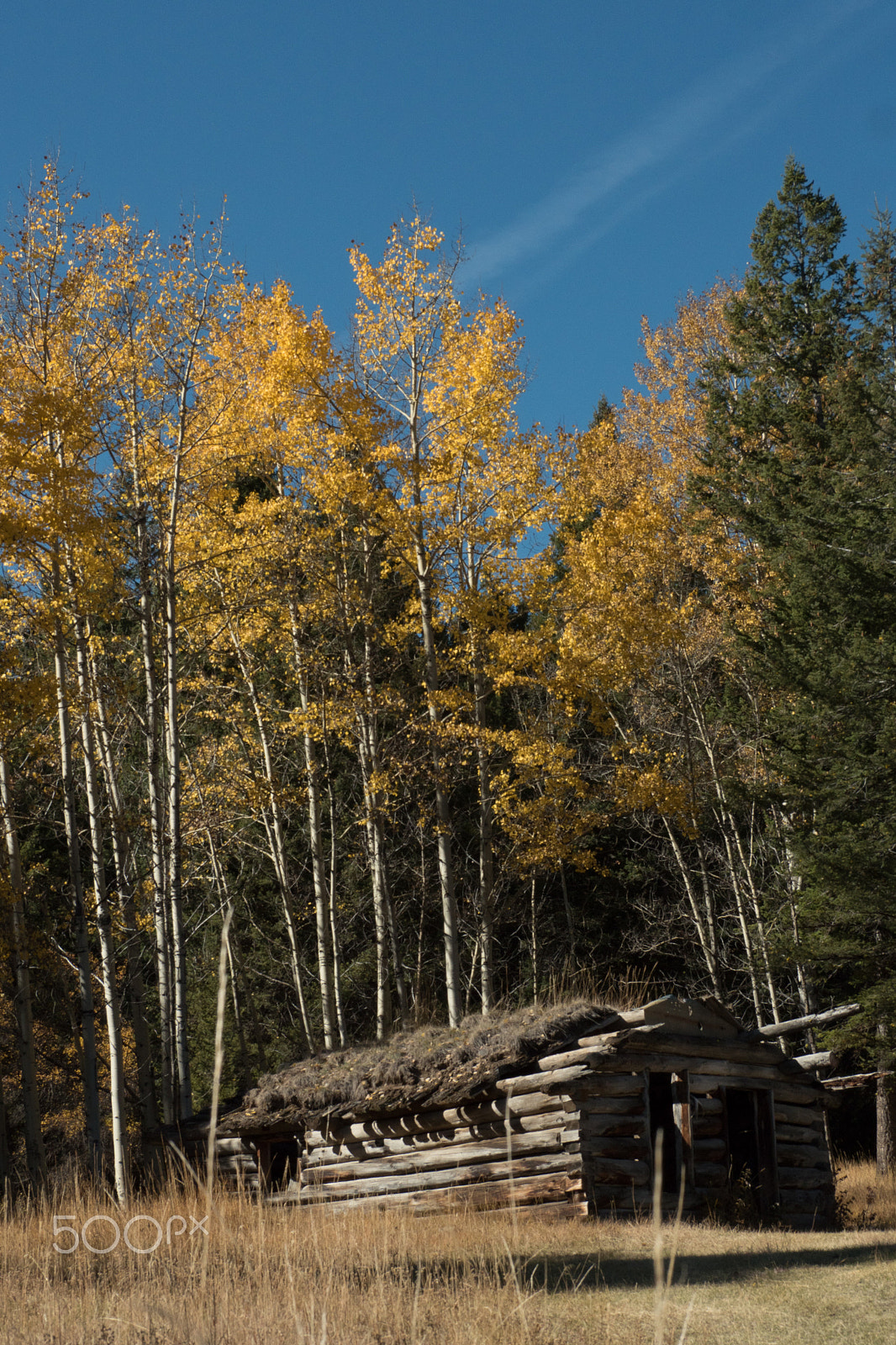 Panasonic Lumix DMC-GH4 sample photo. Autumn oldcabin photography