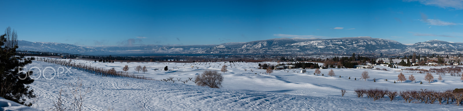 Panasonic Lumix DMC-GH4 + LUMIX G 20/F1.7 II sample photo. Kelowna snow pano photography