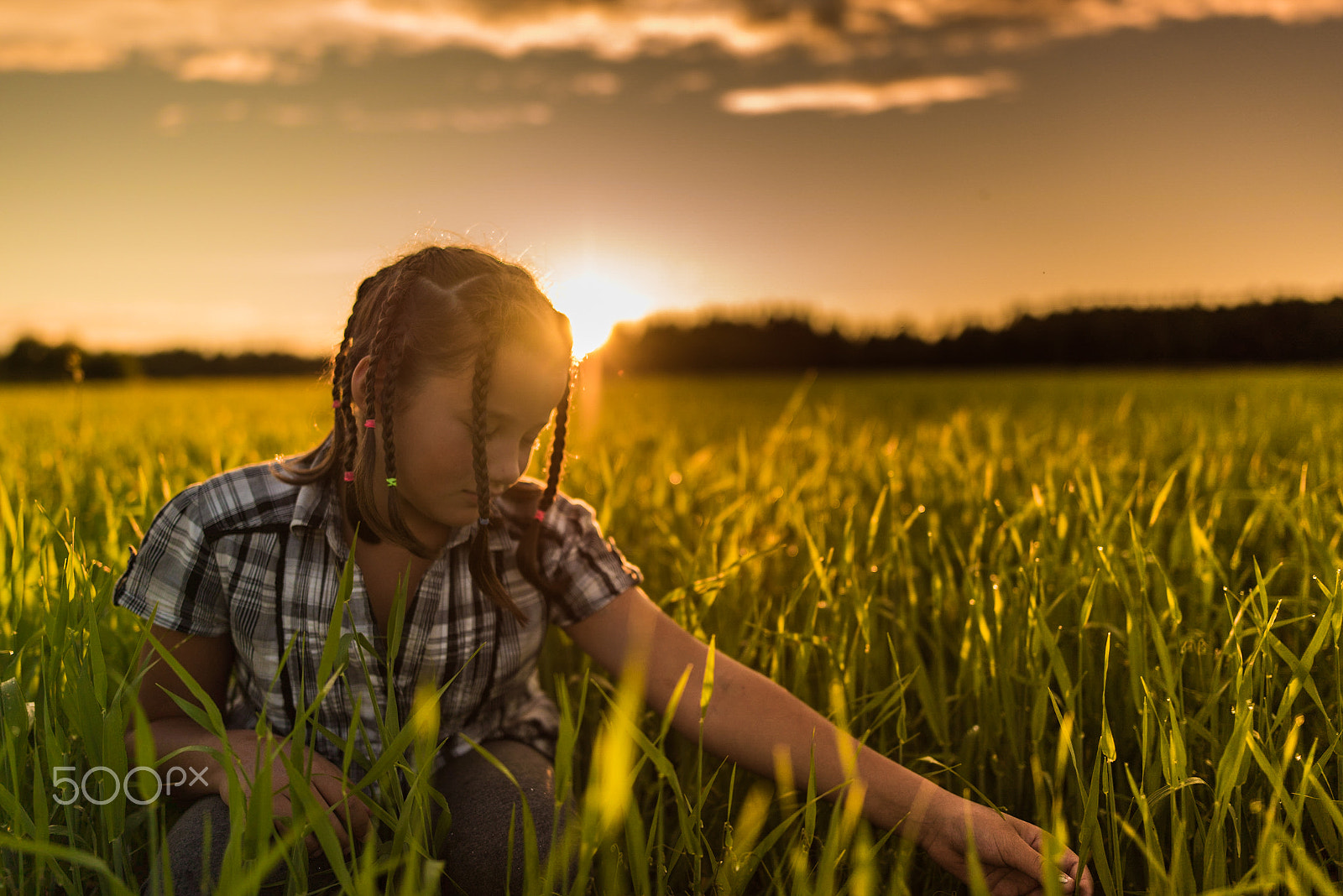 ZEISS Otus 28mm F1.4 sample photo. Midnight sun photography